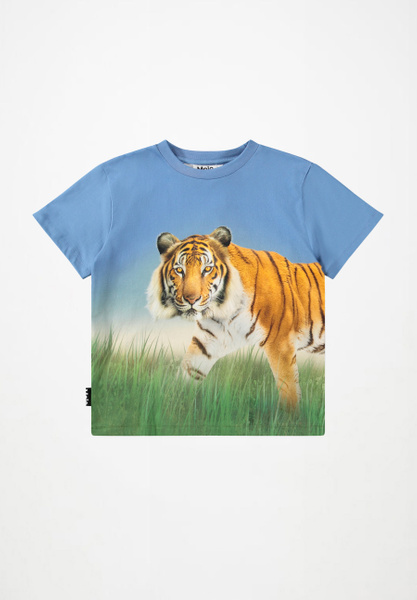 Sfondo Con Motivo Tigre In Oro Rosa Texture Della Pelle Di Animali Selvatici Gm1363962513 435319817
