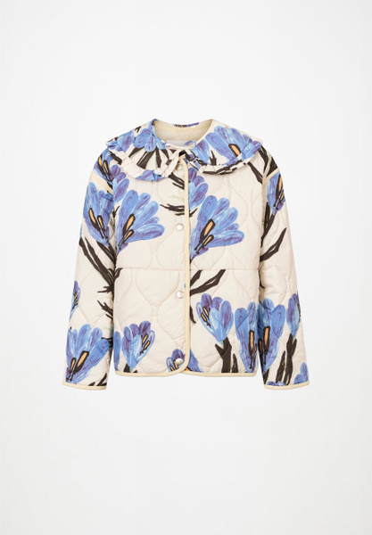 Buy Hennah Painted Crocus at Molo