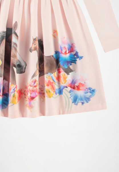 Credence Horses | Molo