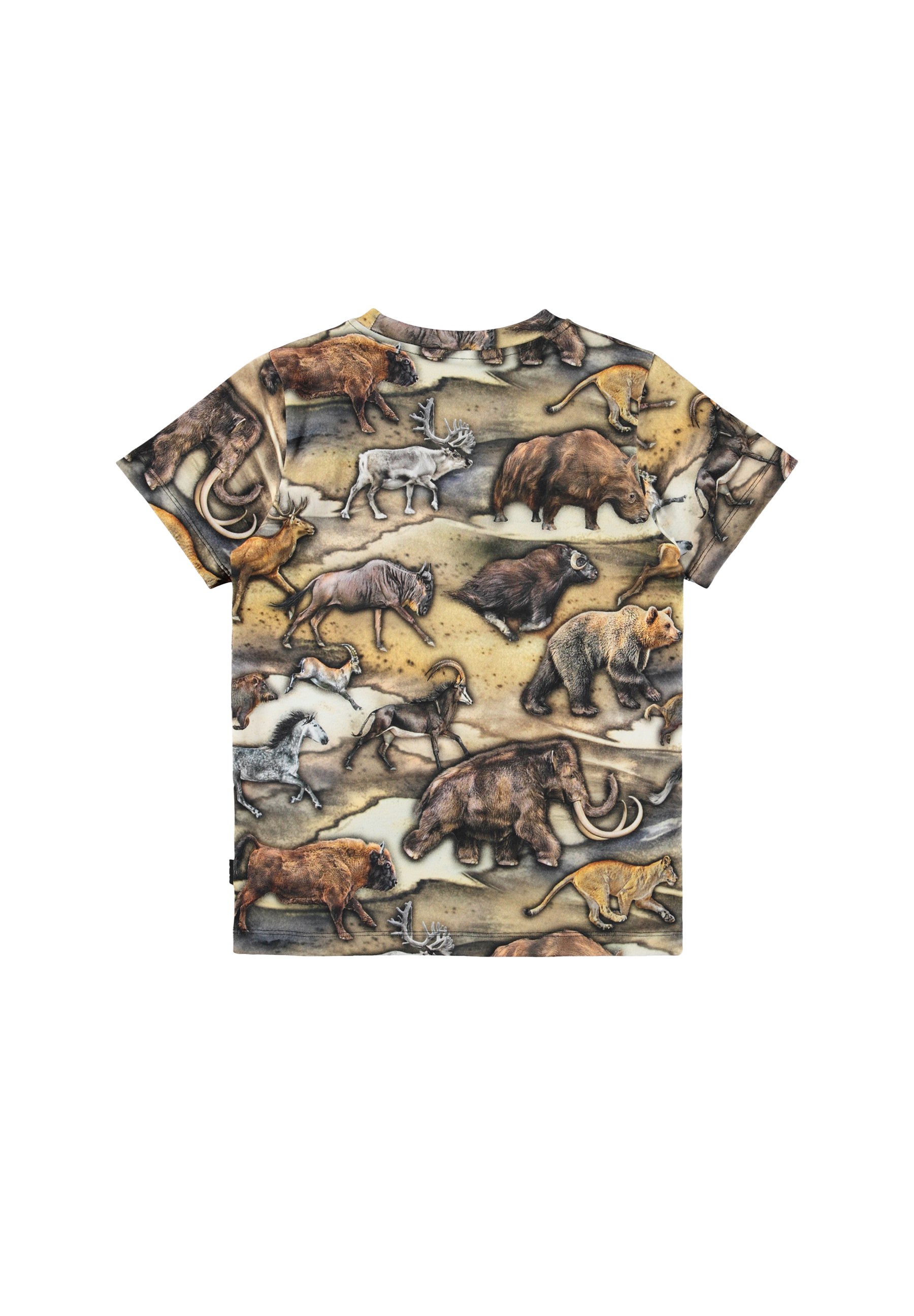 Ralphie Cave Animals