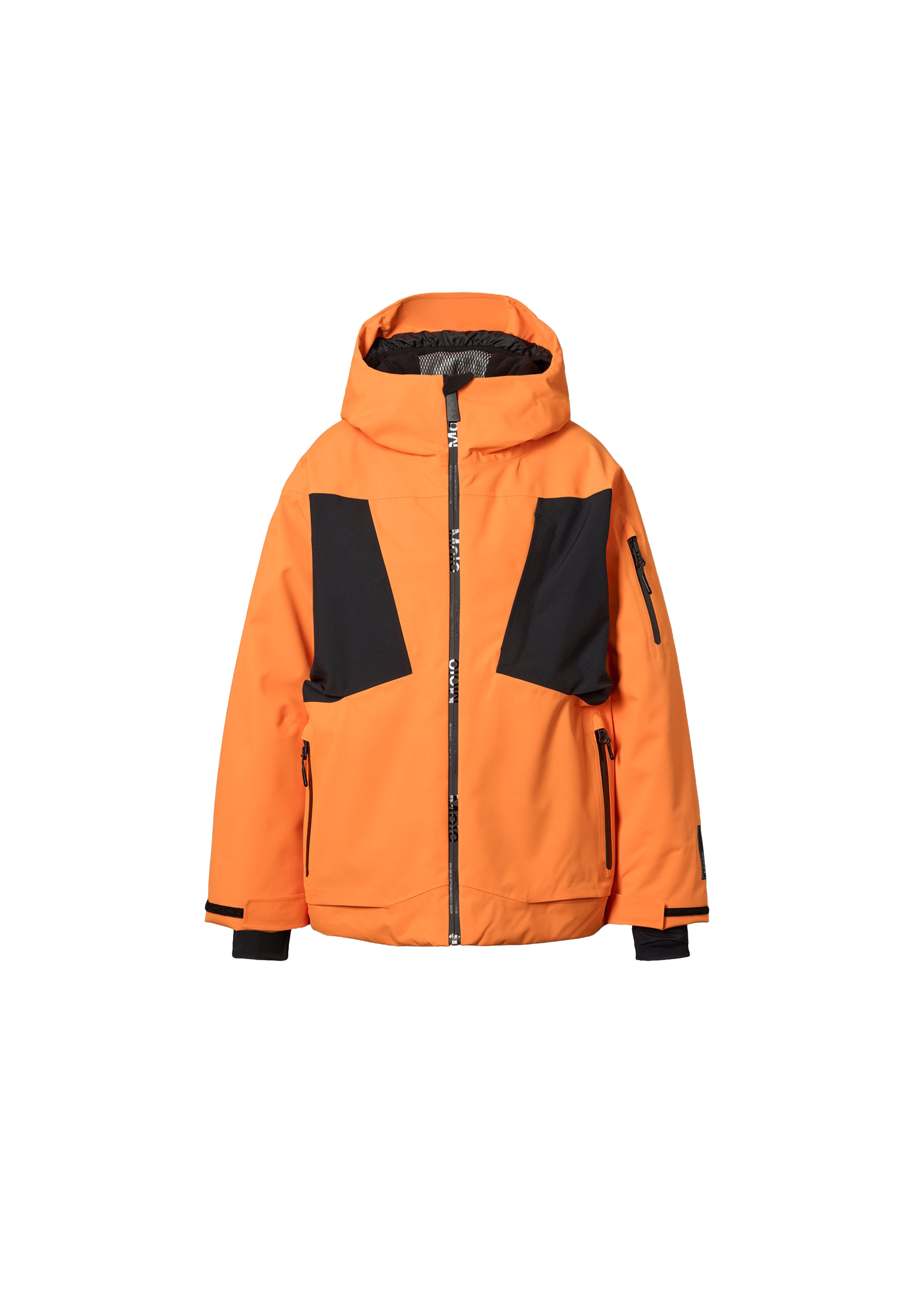 Alpine Ski jacket