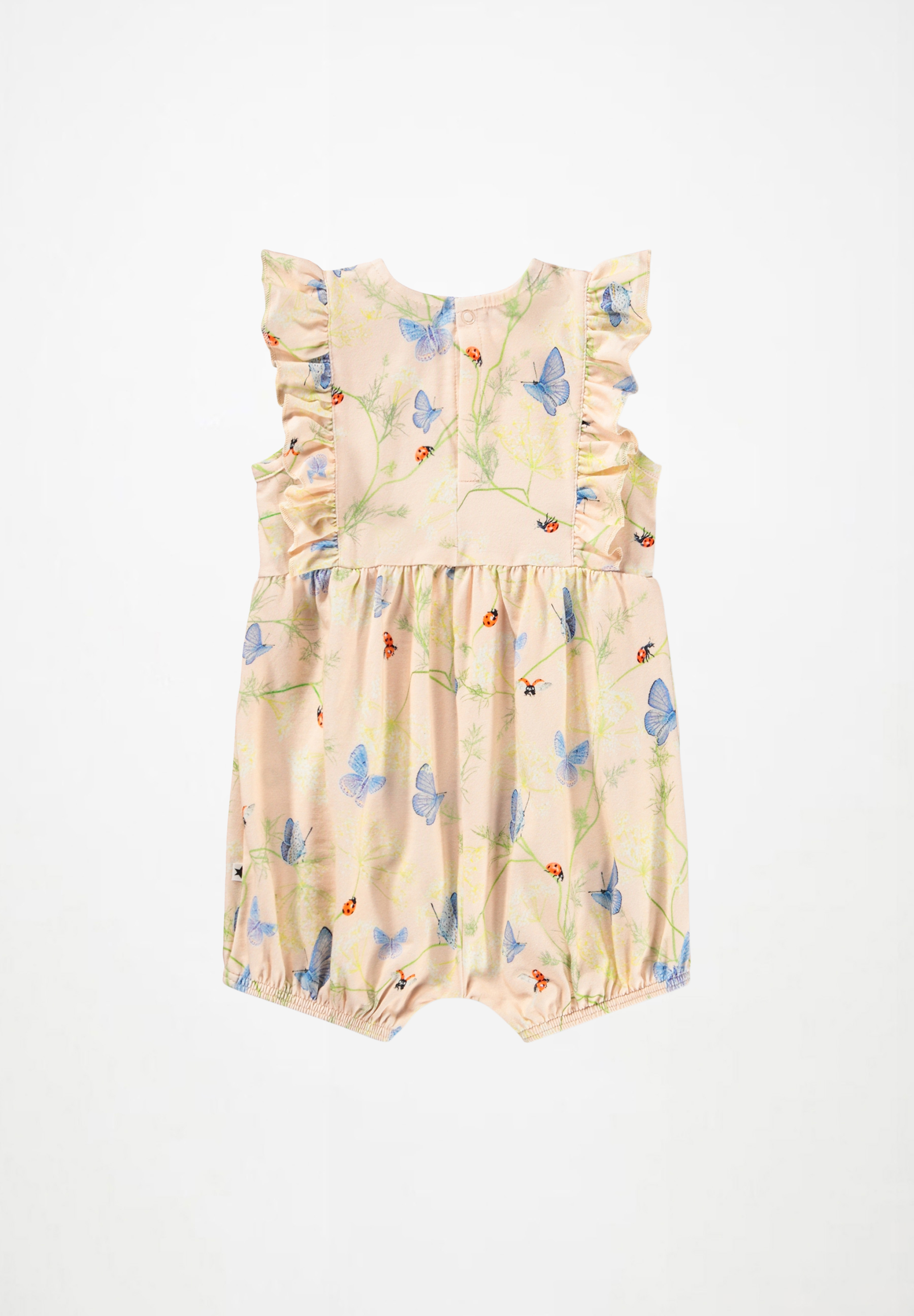 Felicia Butterflys Cloud