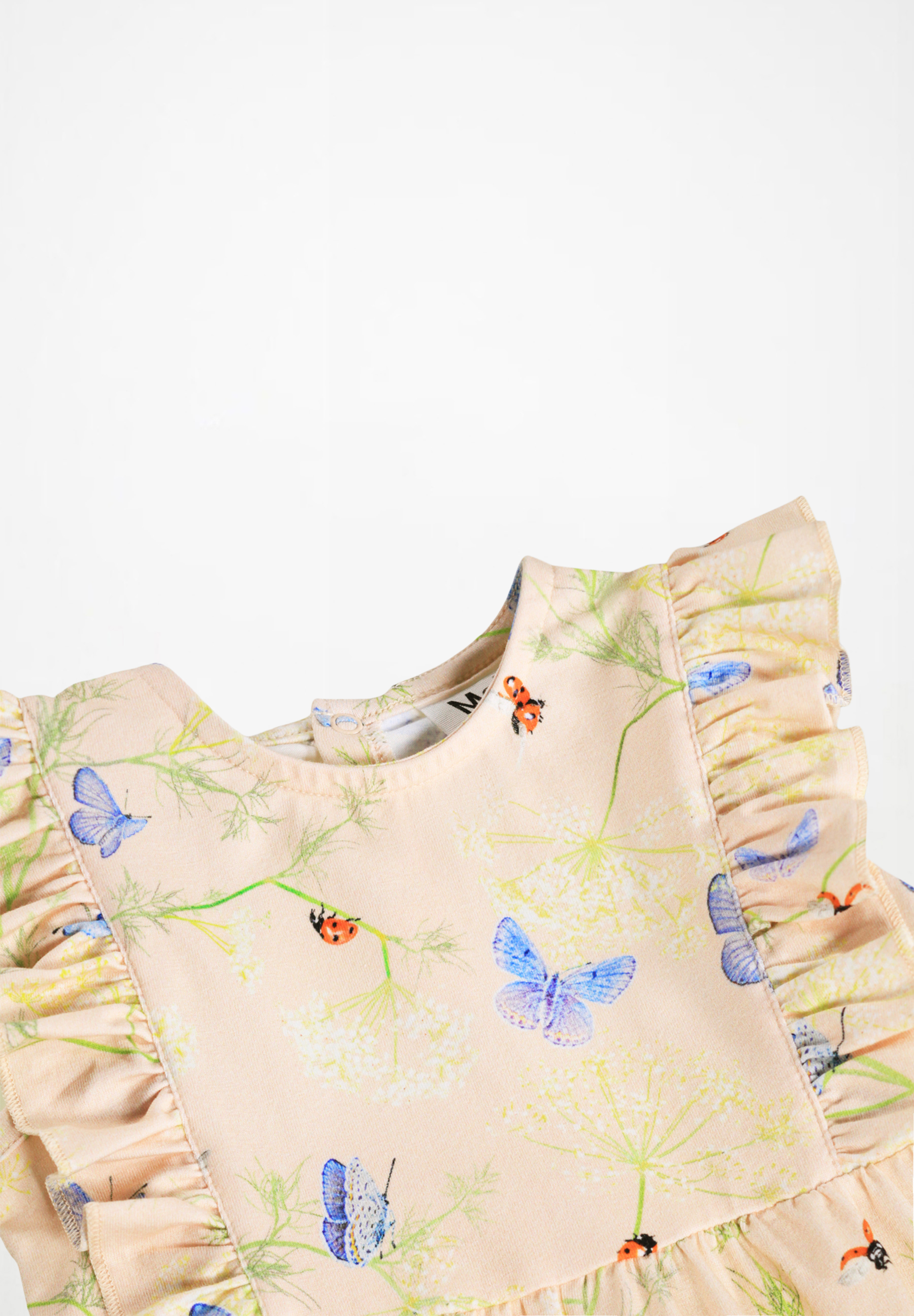 Felicia Butterflys Cloud