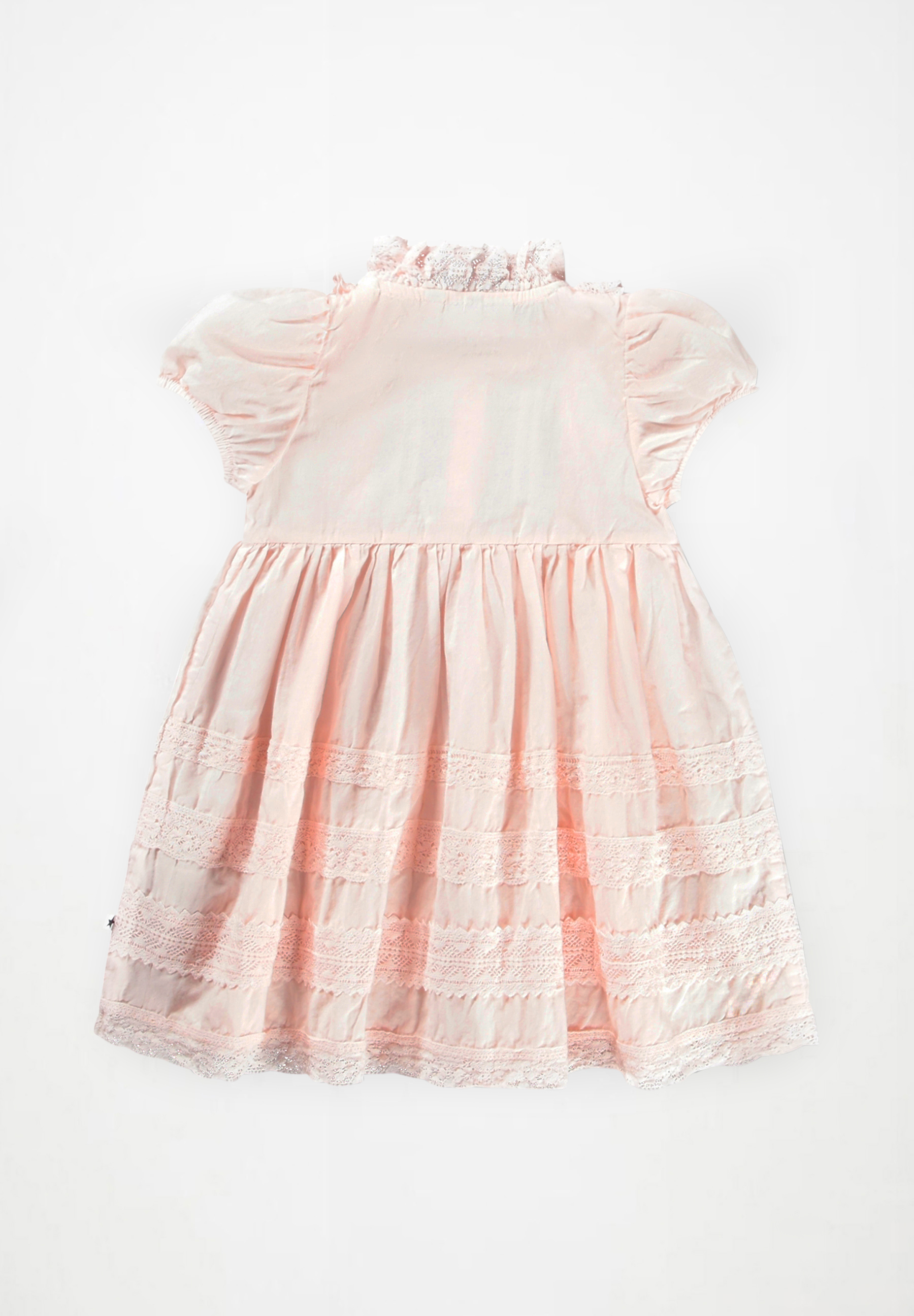 Carnation Cloud Pink