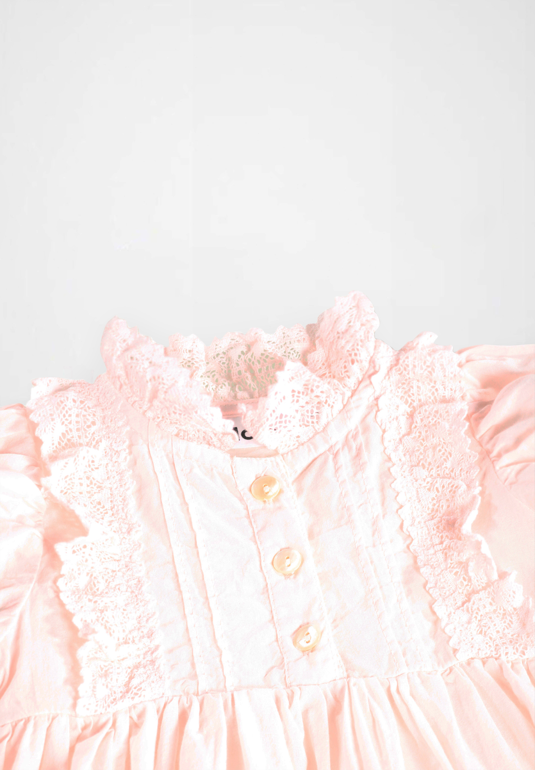 Carnation Cloud Pink