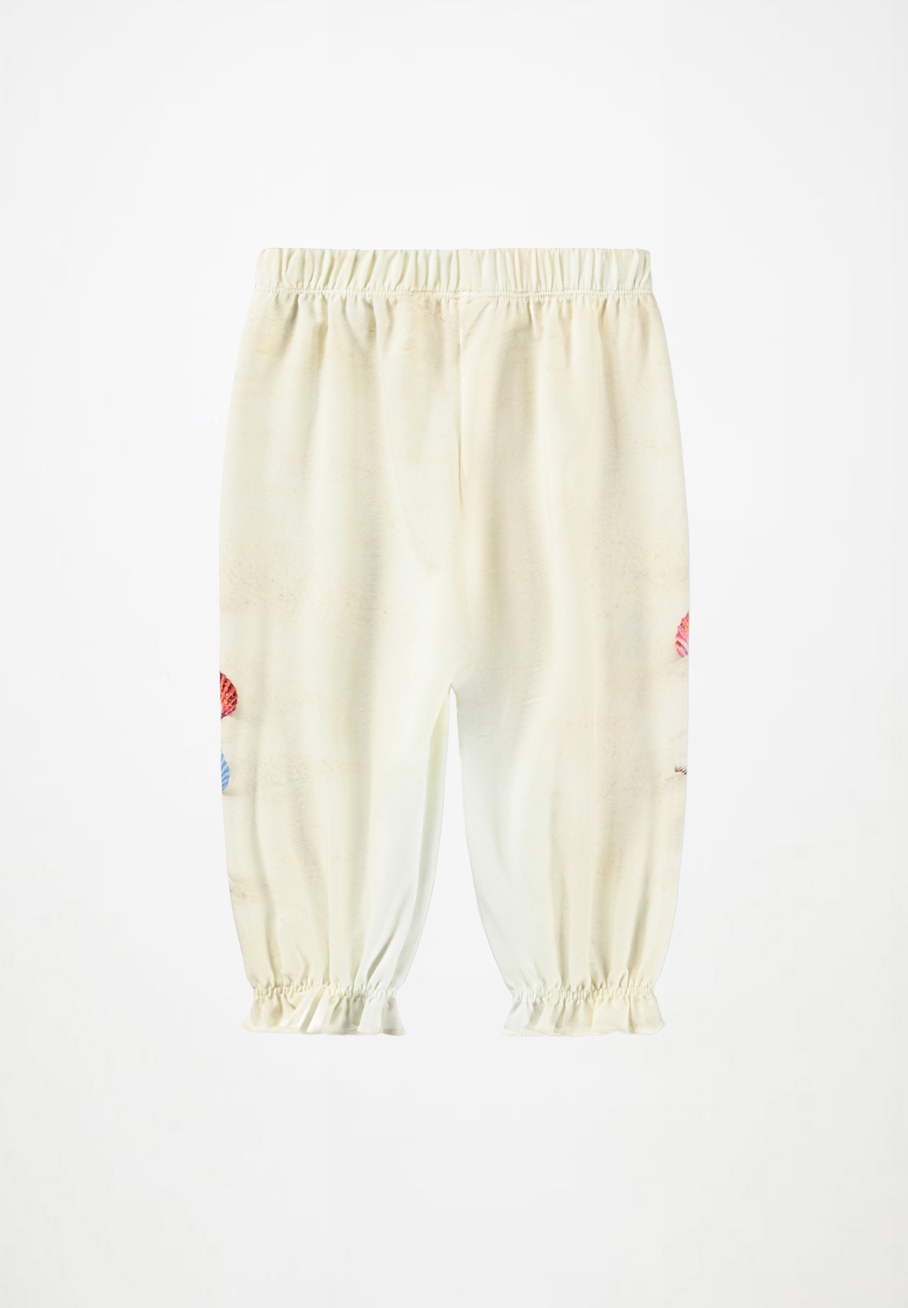 Selena Beach and Shells