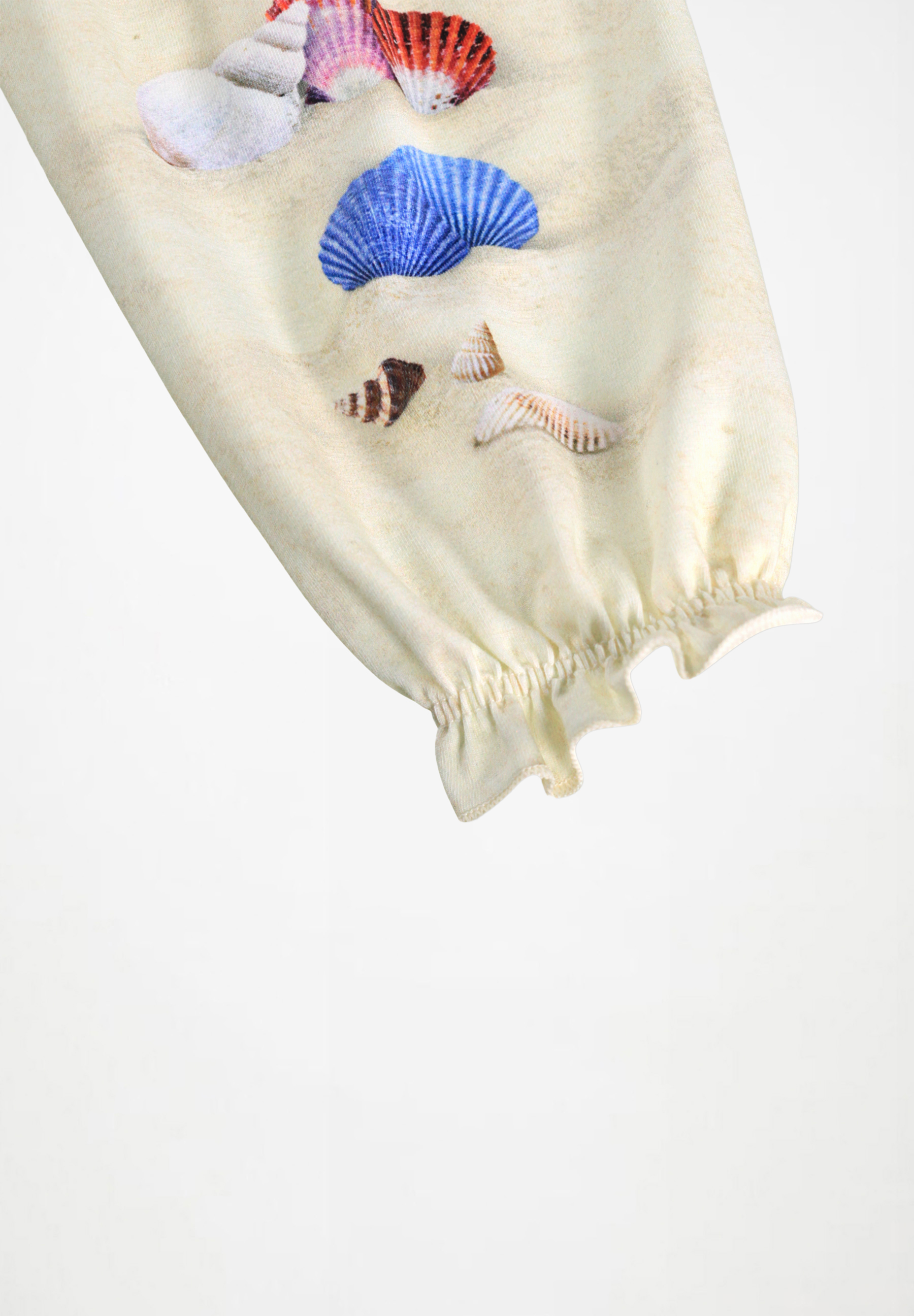 Selena Beach and Shells