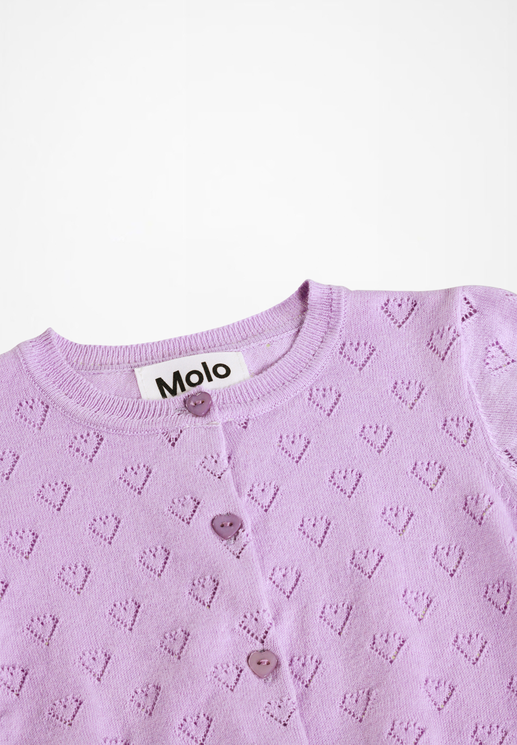 Gertrud Crocus Petal