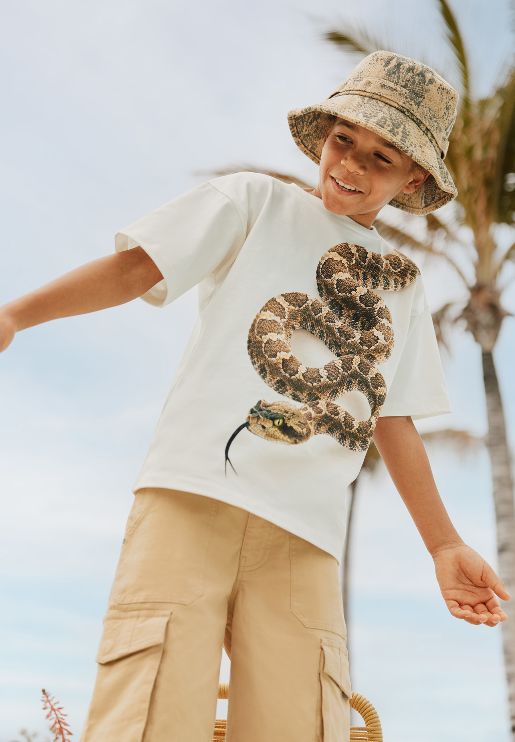 Safir Snake Structure