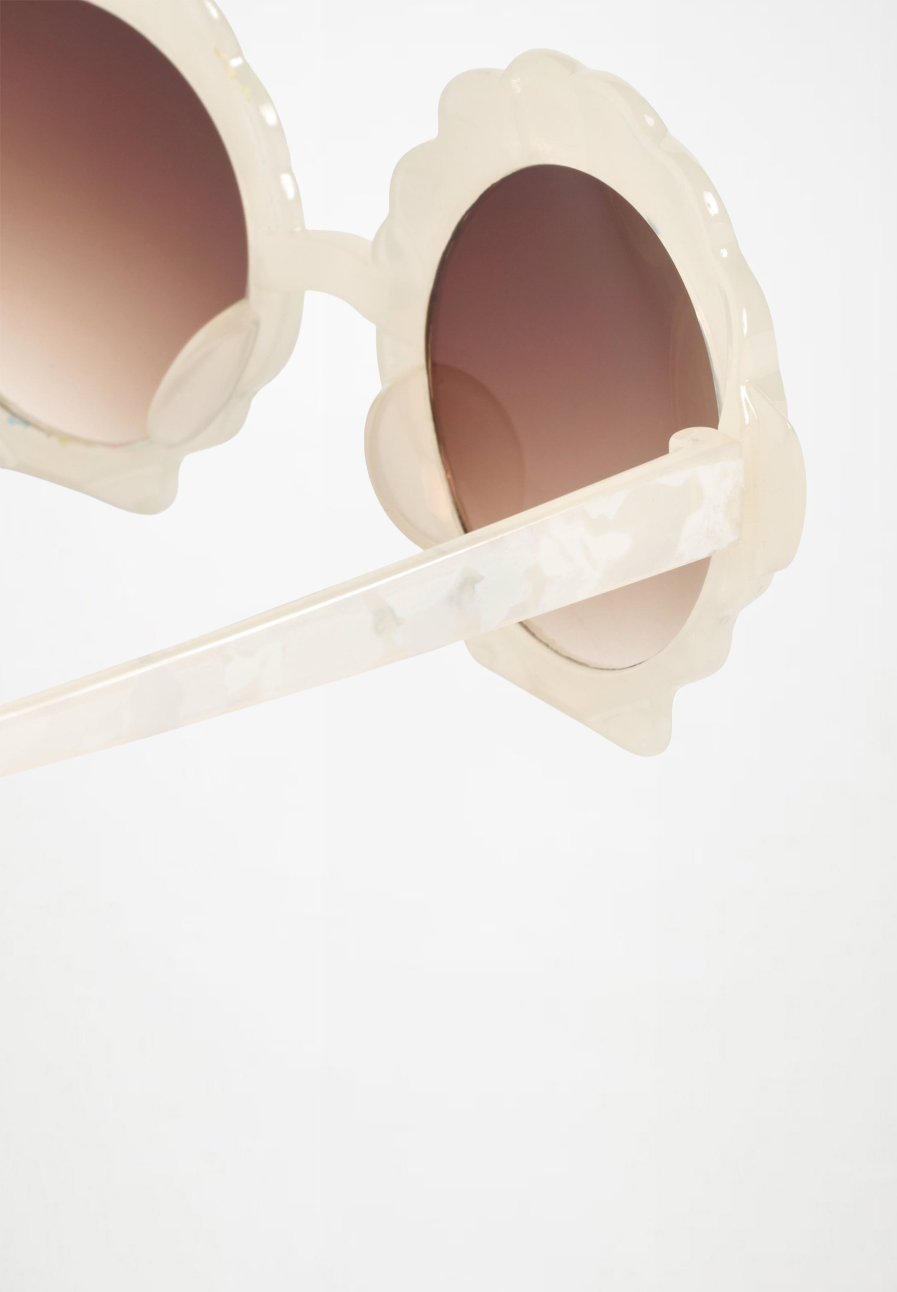 Seashell Seashell White