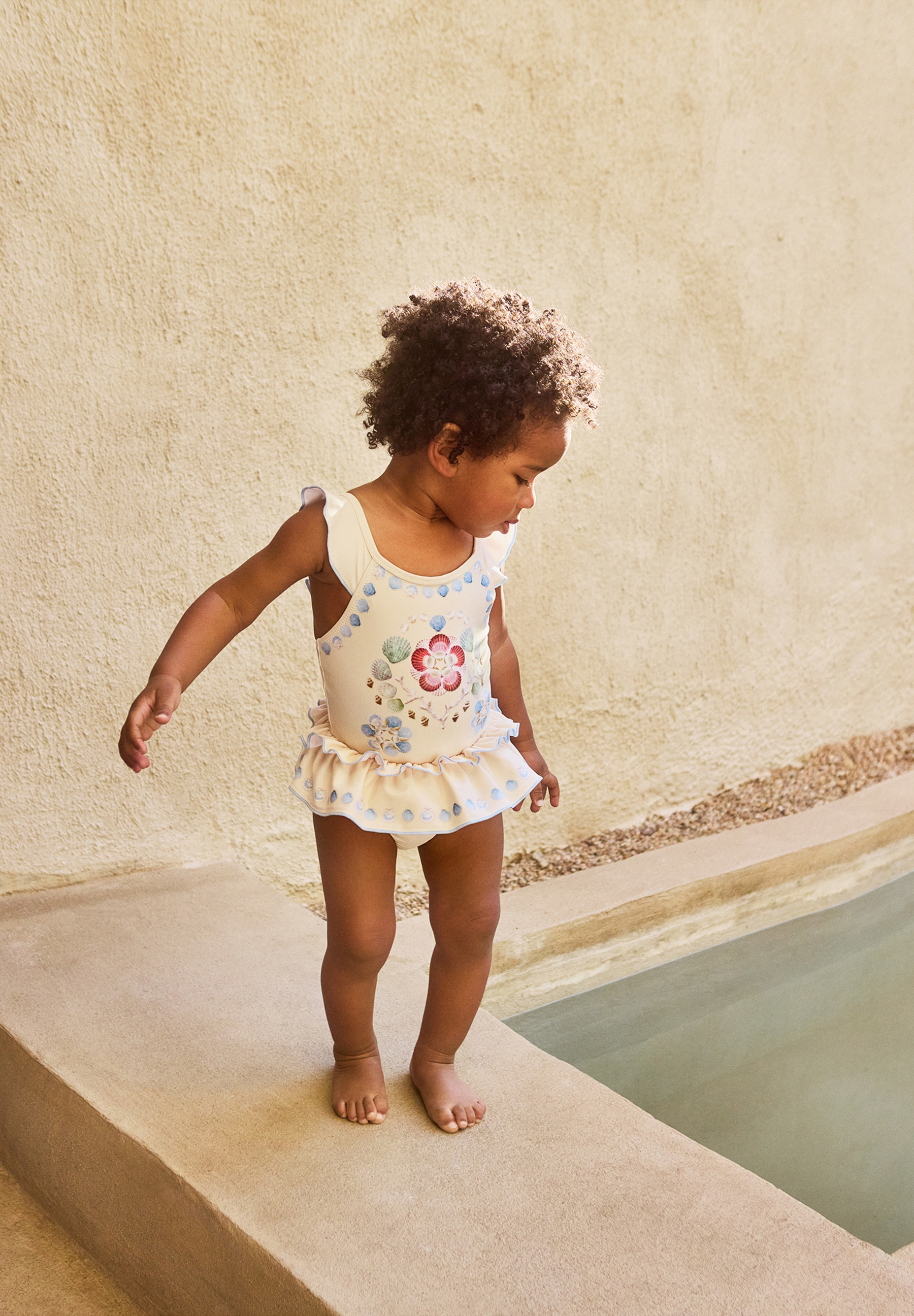 Nalani Sea Shell Deco