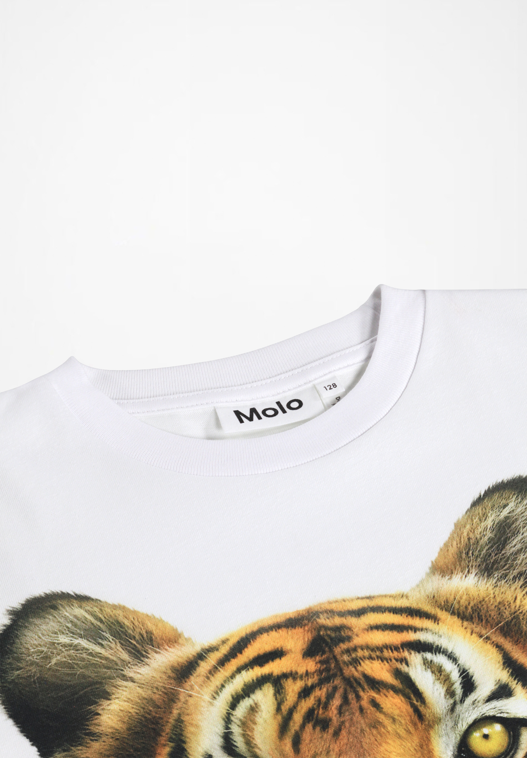 Rollo Tiger Portrait