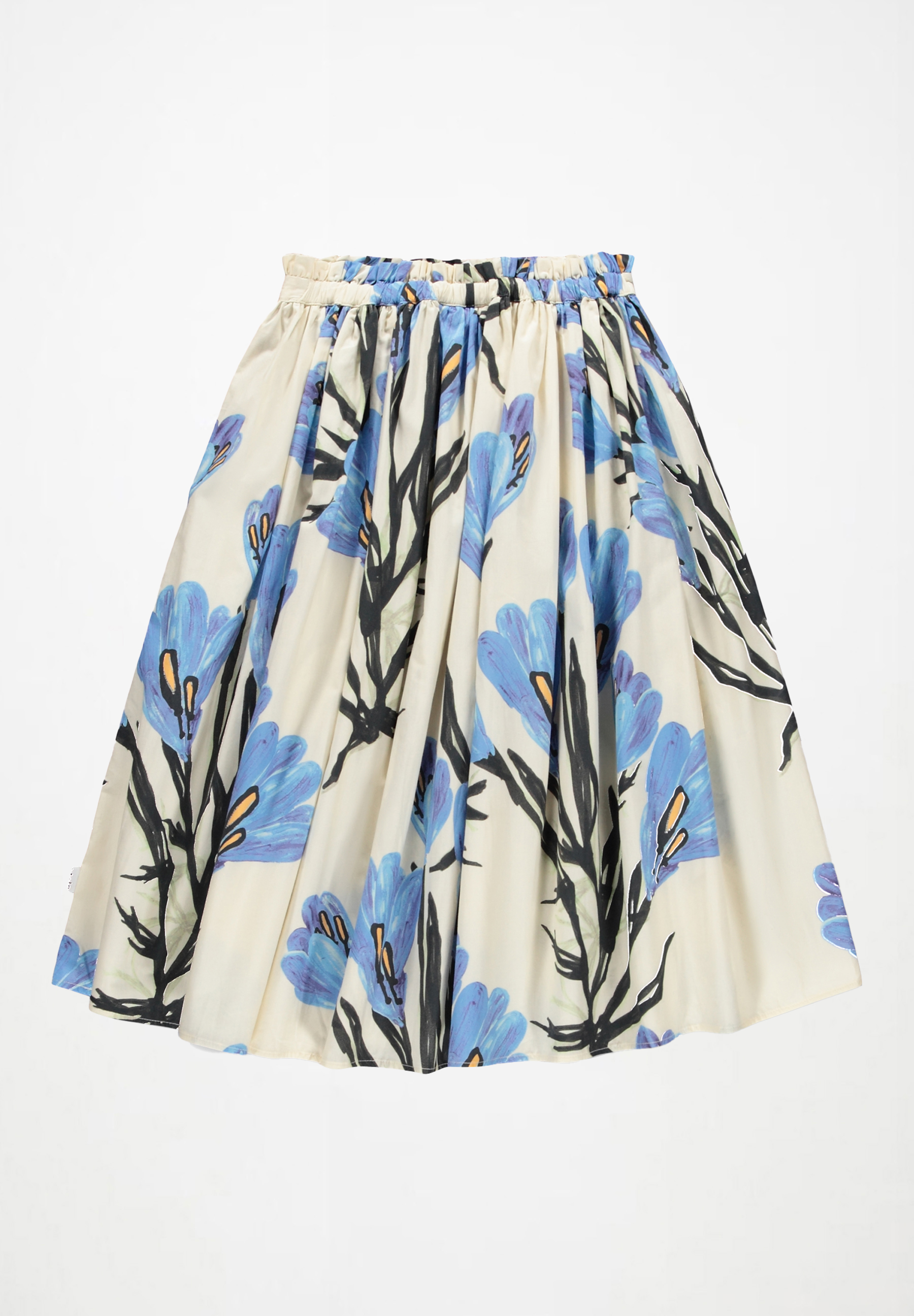 Brisali Painted Crocus