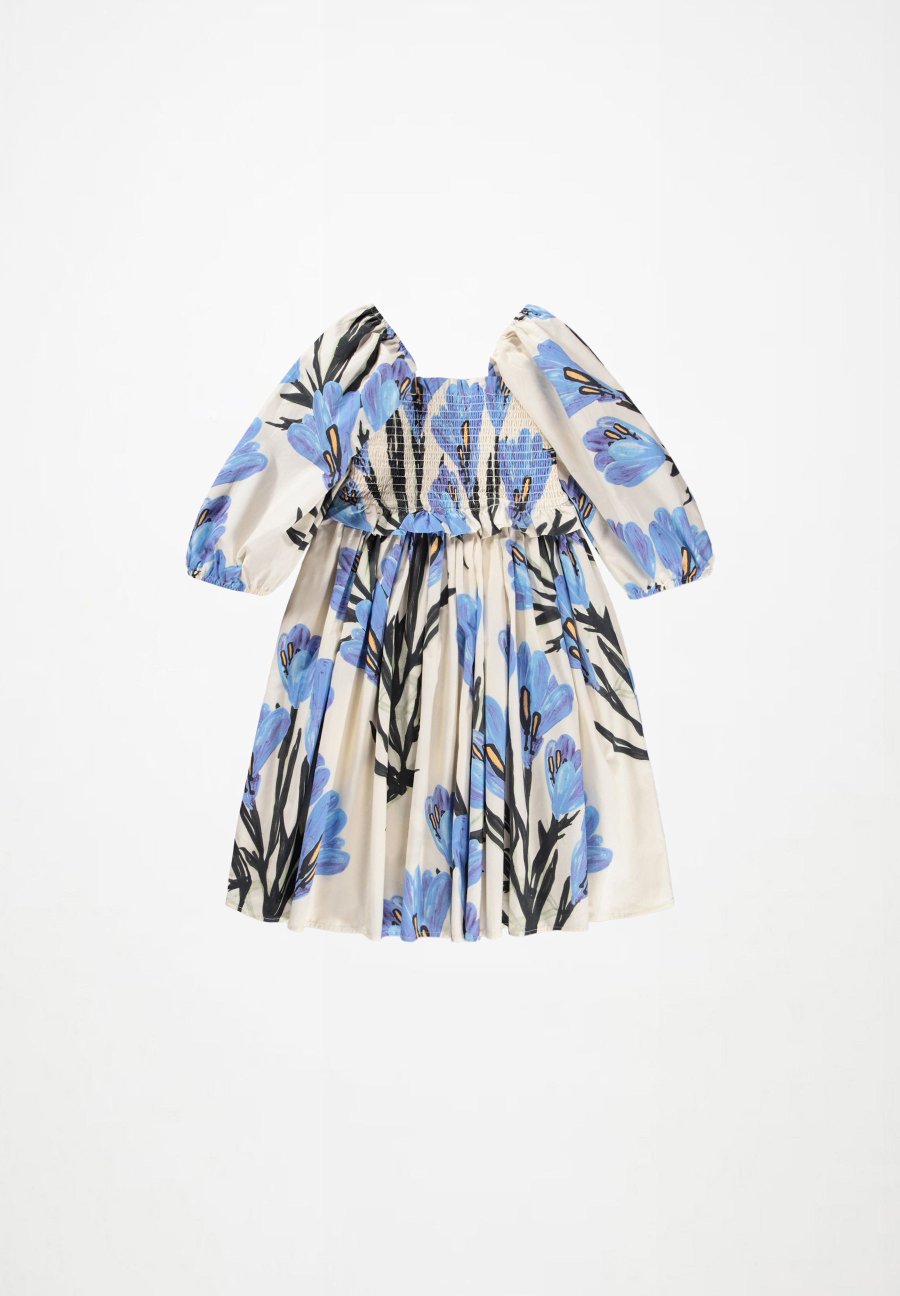 Chipie Painted Crocus