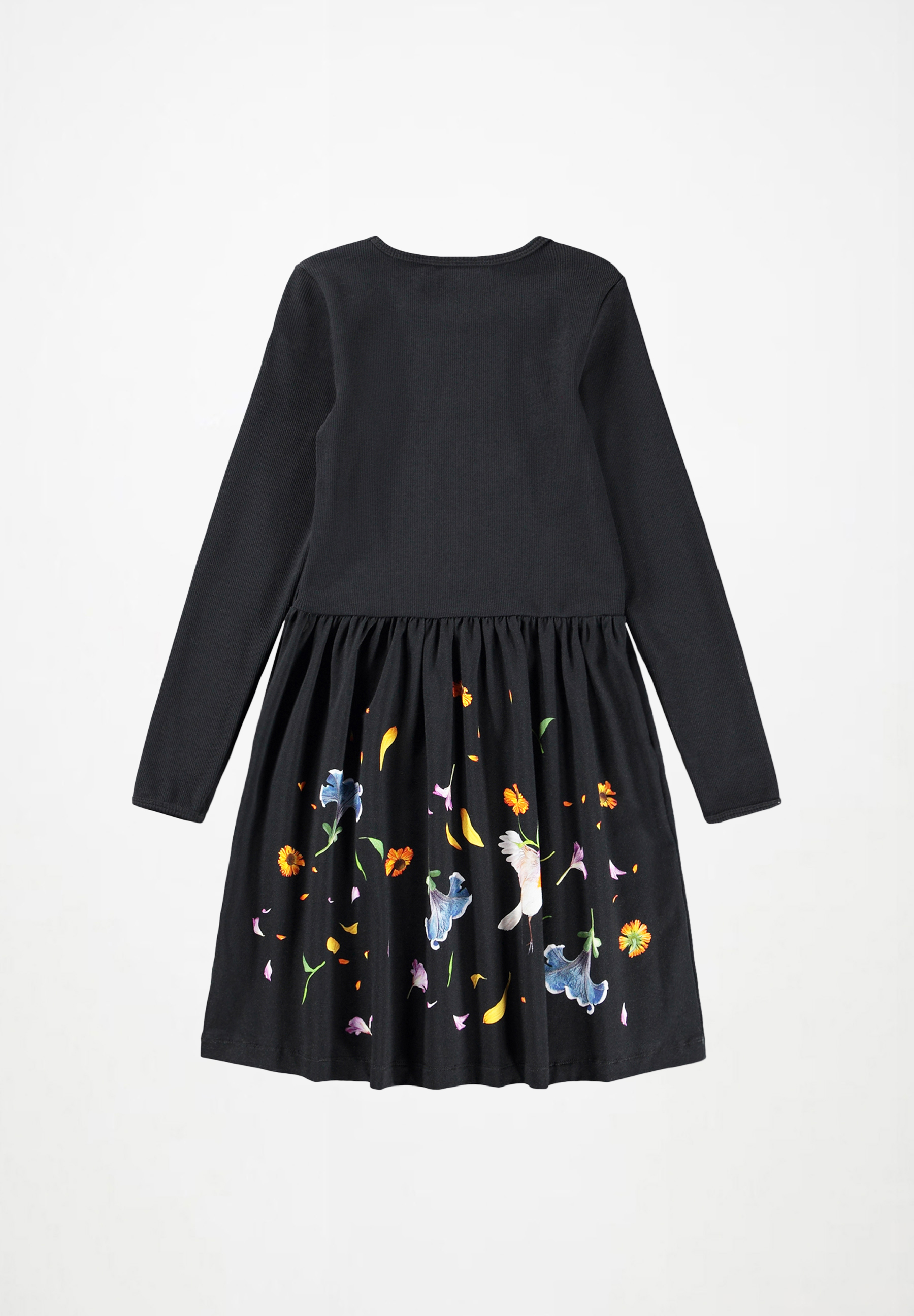 Credence Lets Celebrate