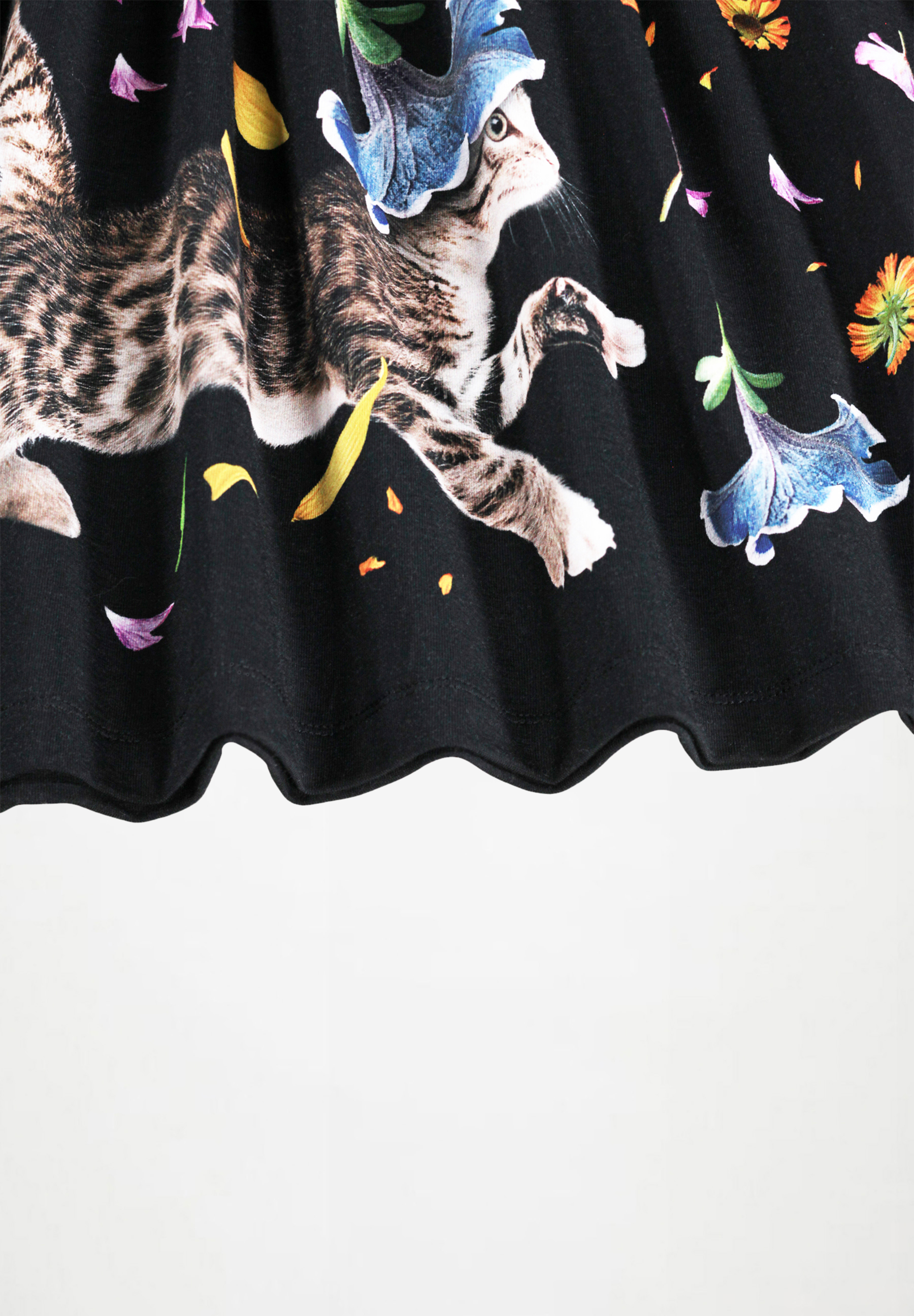 Credence Lets Celebrate