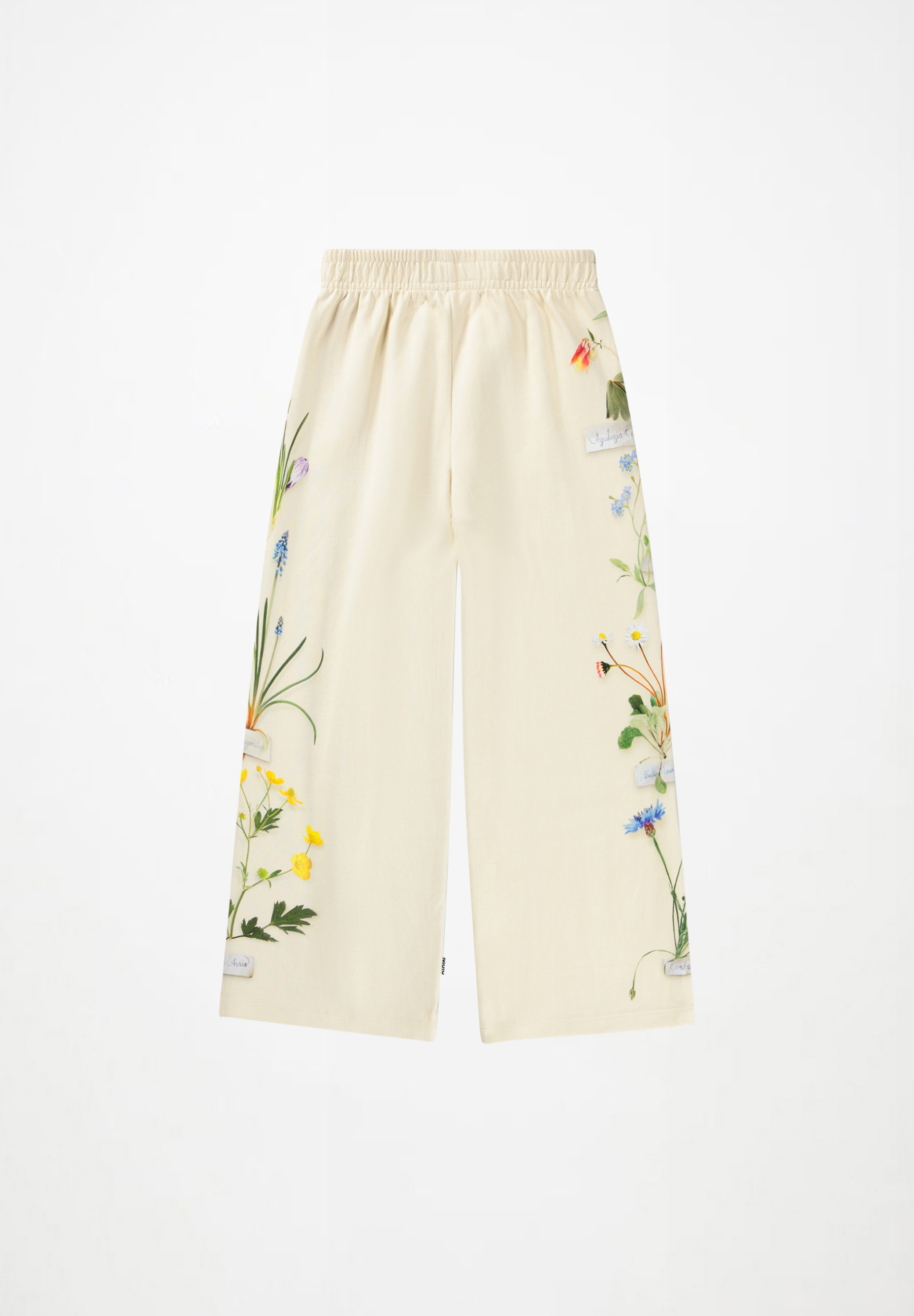 Aurita Flora Collector