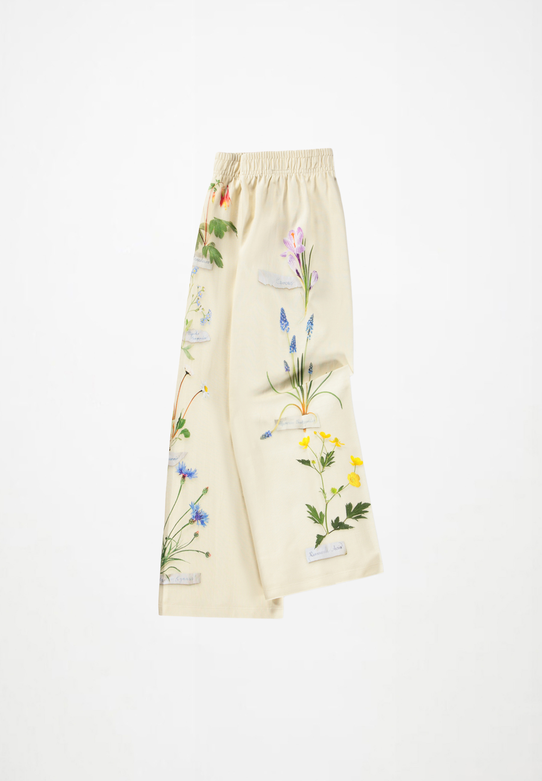 Aurita Flora Collector