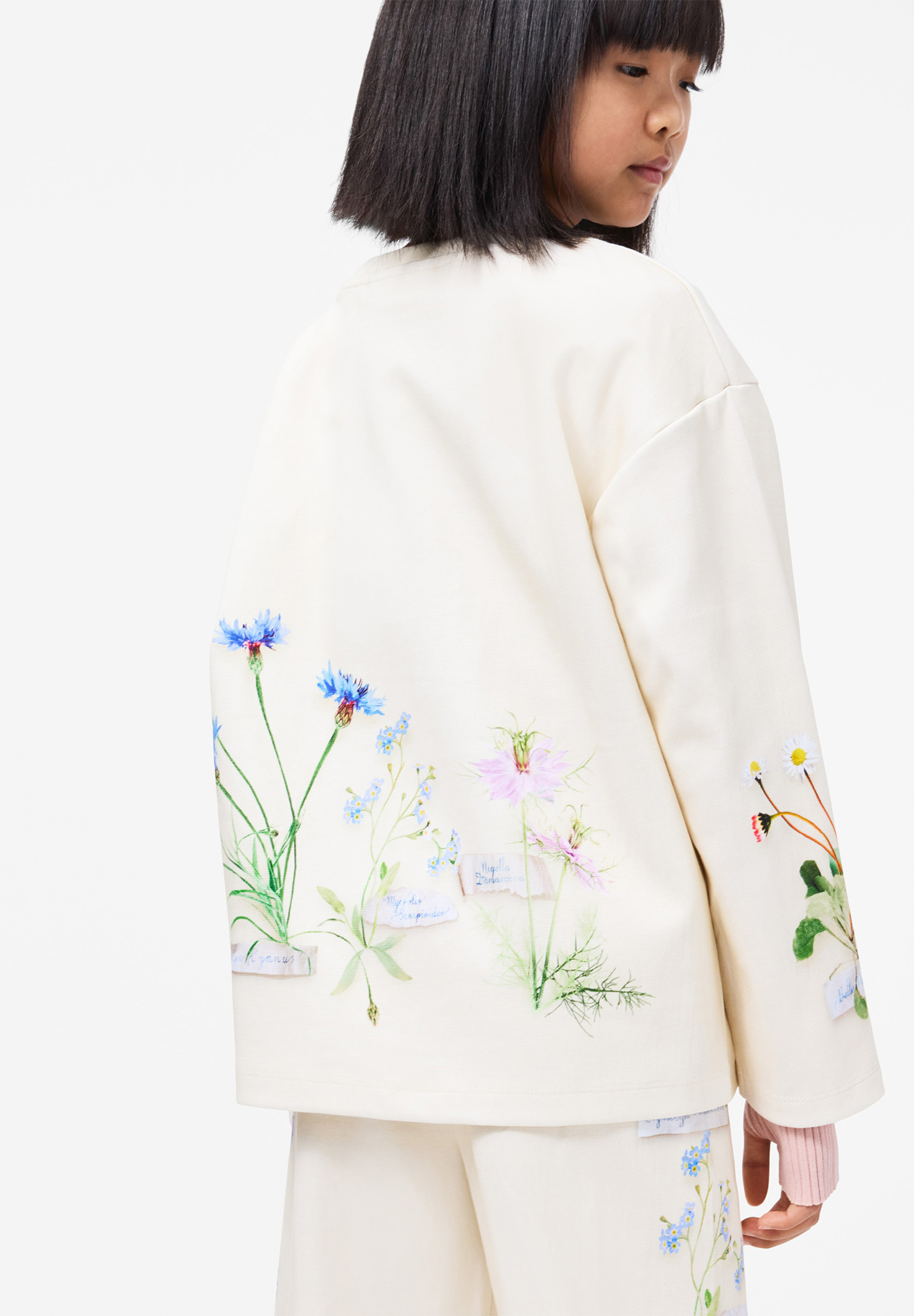 Aurita Flora Collector