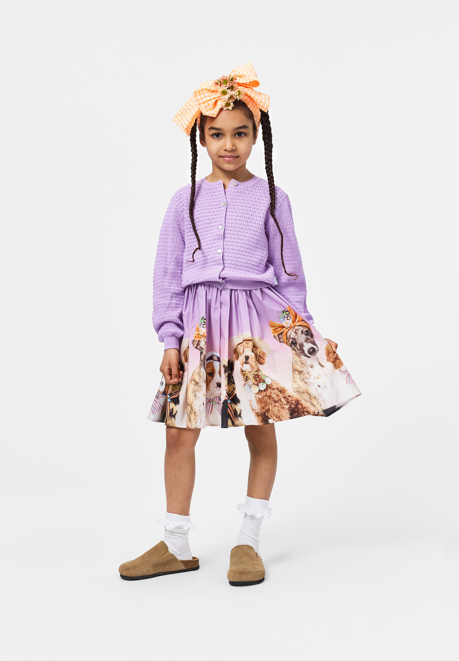 Georgina Crocus Petal