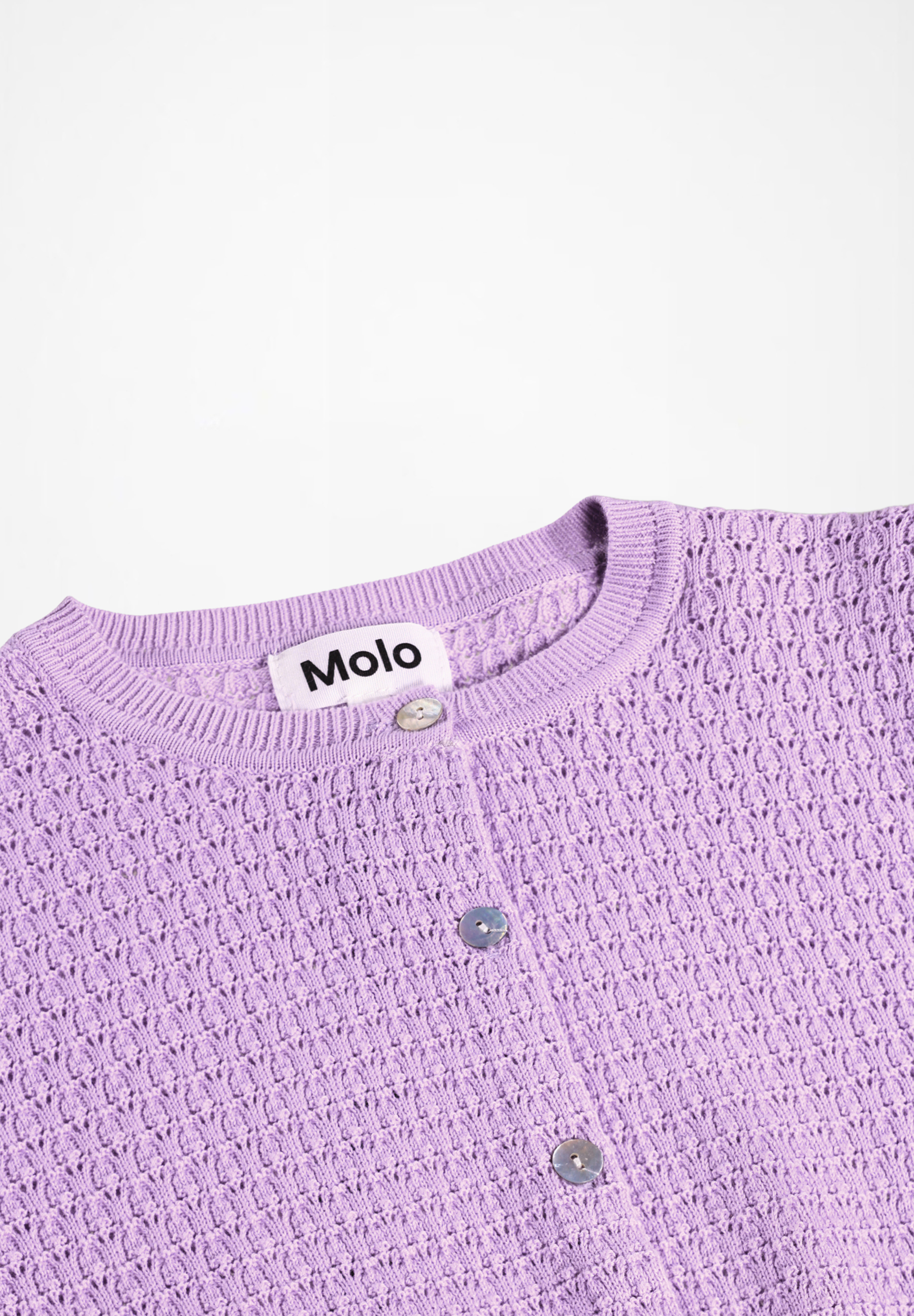 Georgina Crocus Petal