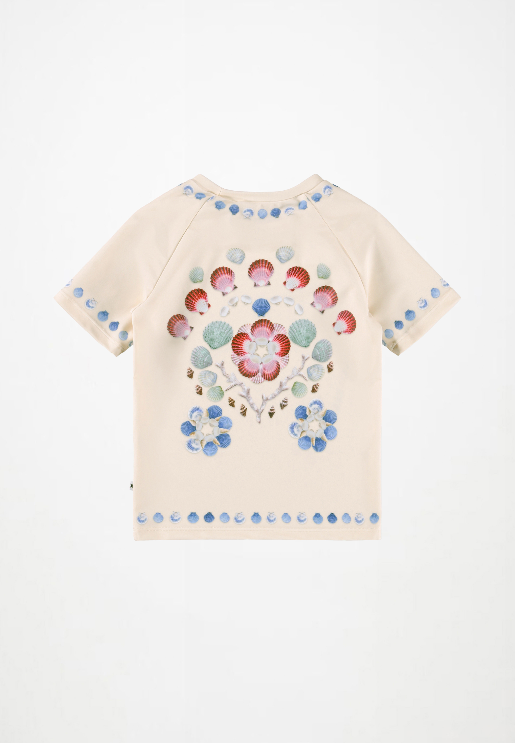 Neona Sea Shell Deco