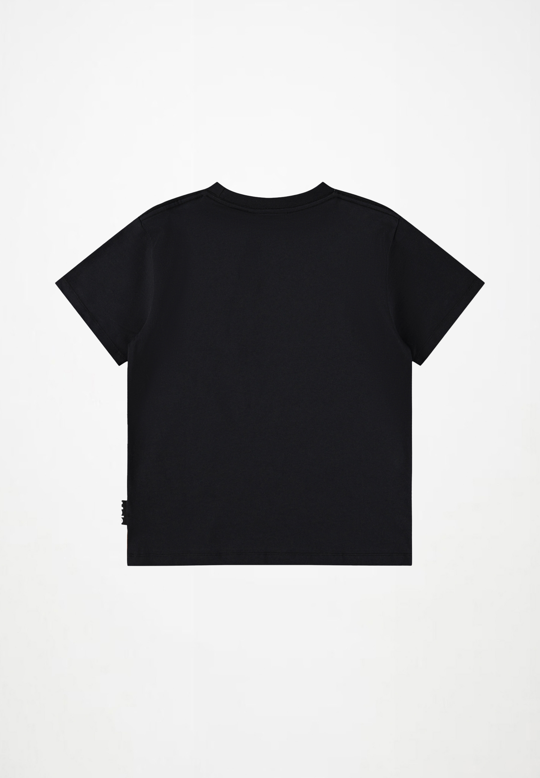 Riley Basket Hoop Dk