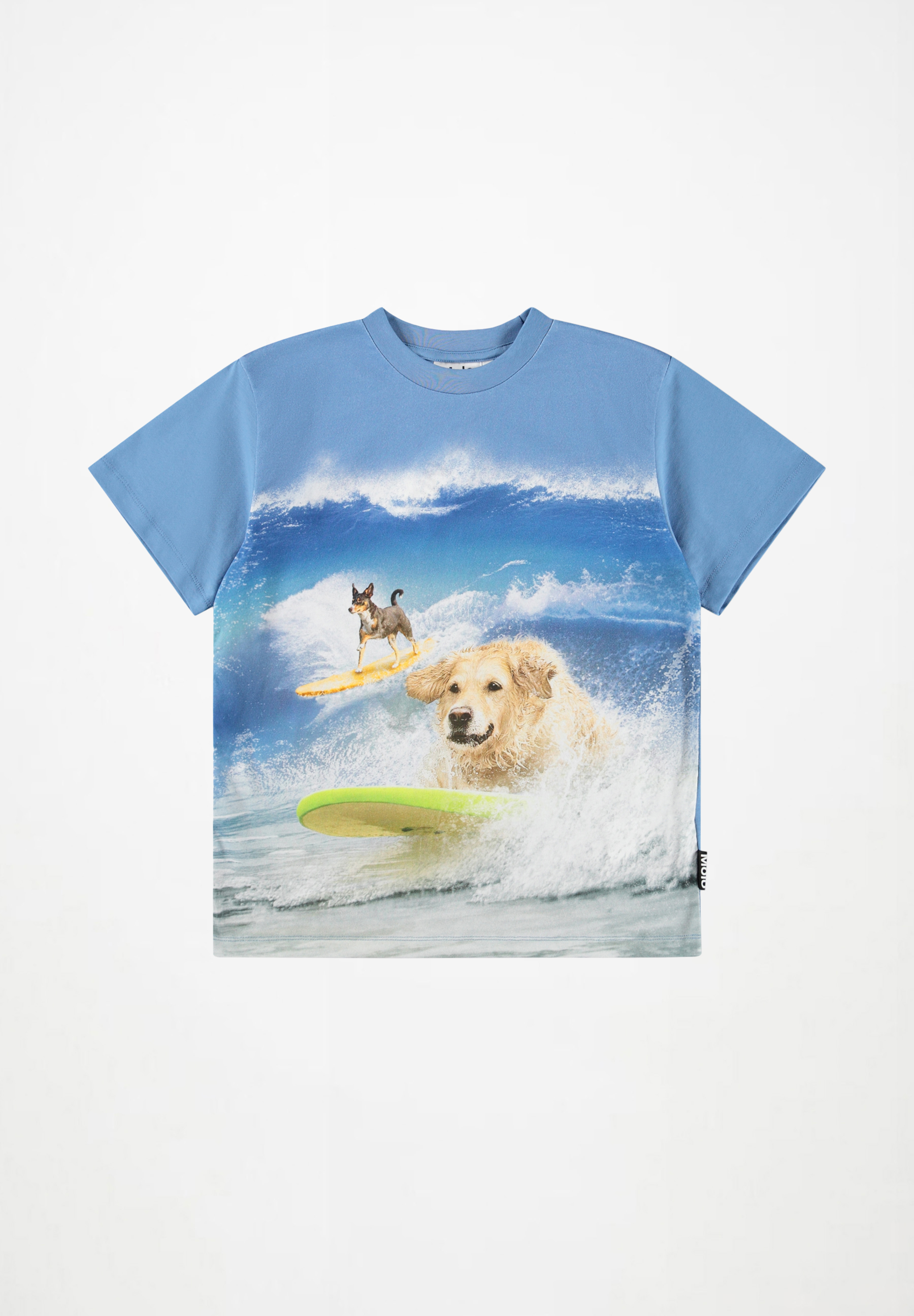 Riley Surf Dog