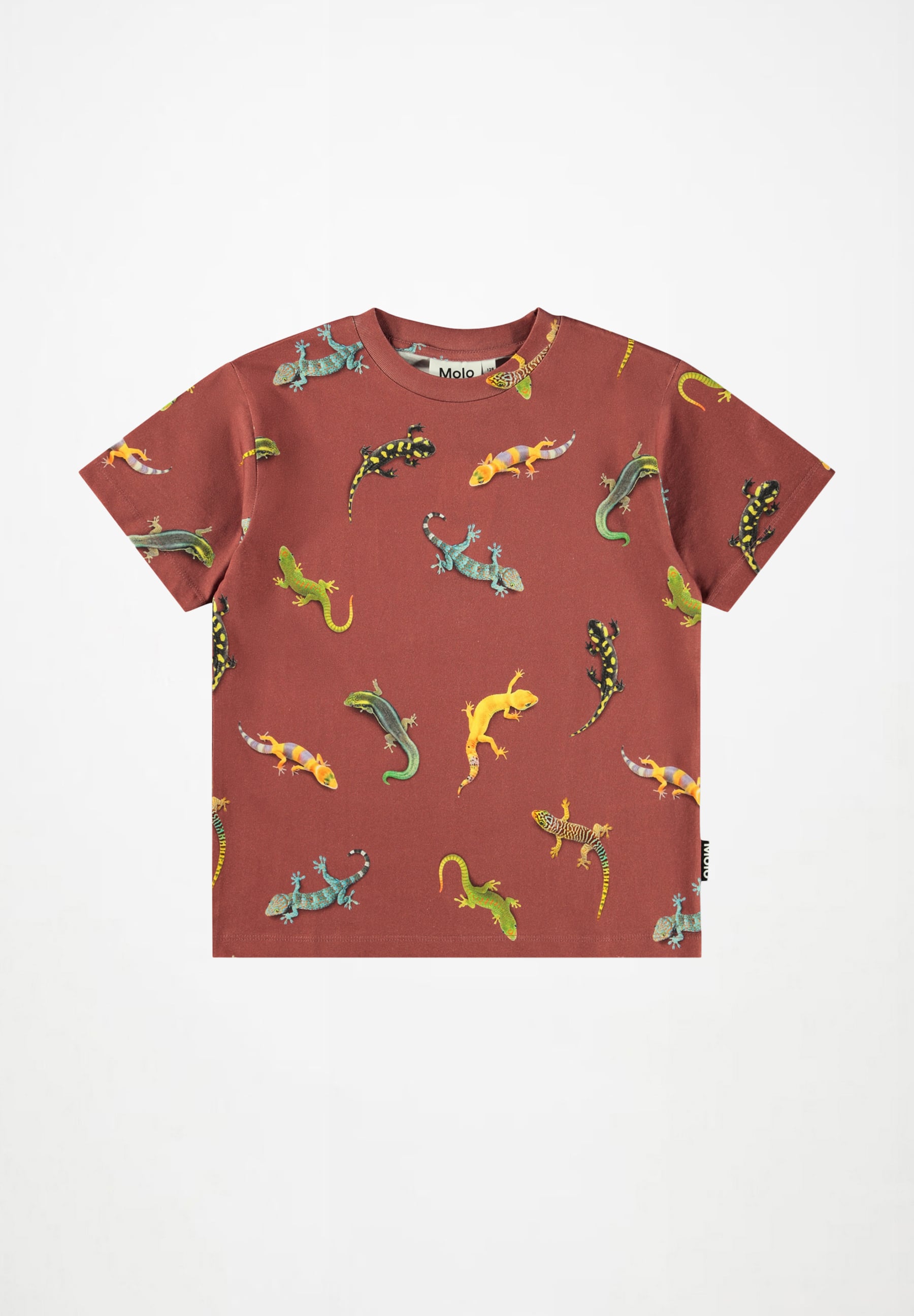 Riley Geckos Sanguine