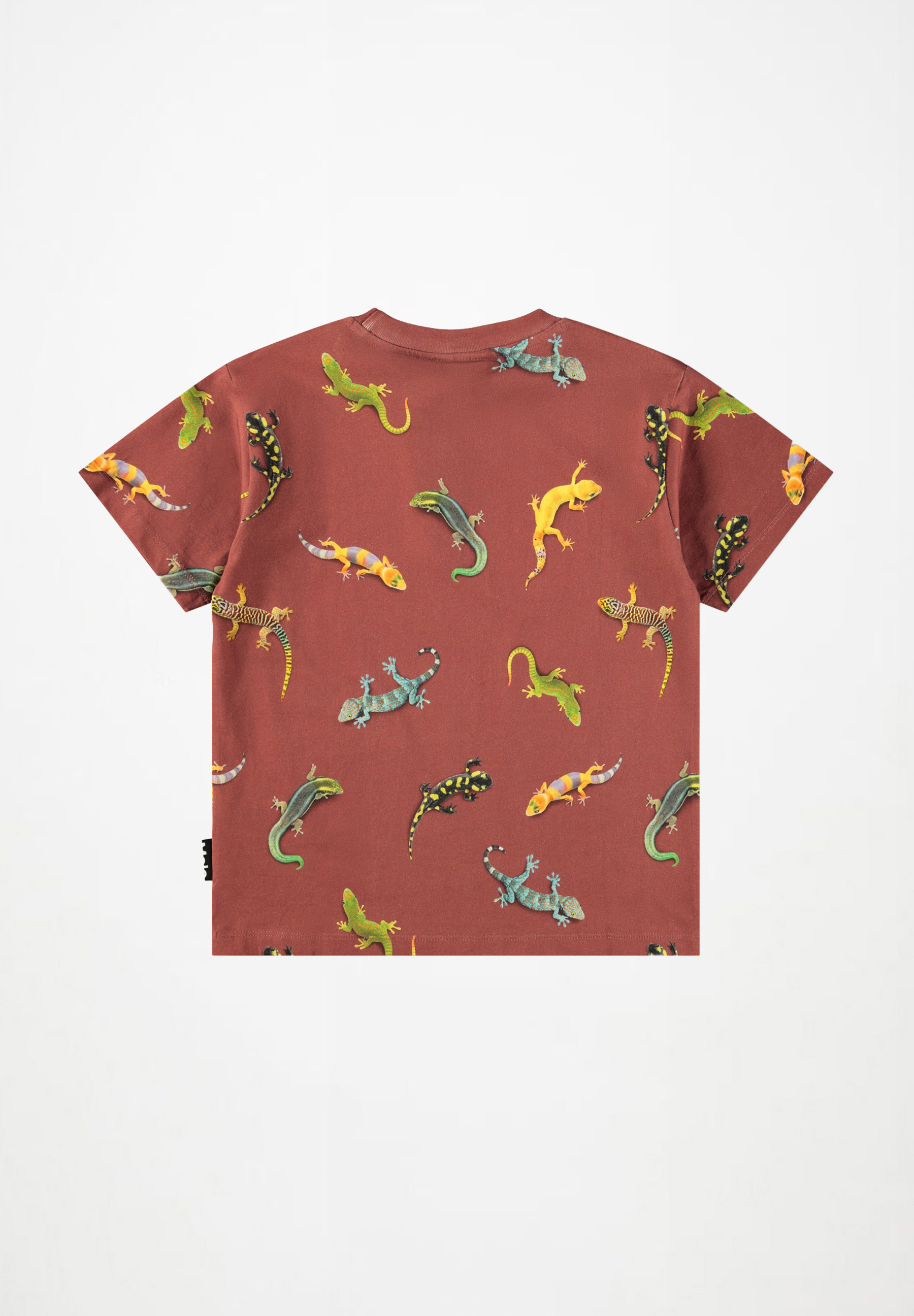 Riley Geckos Sanguine