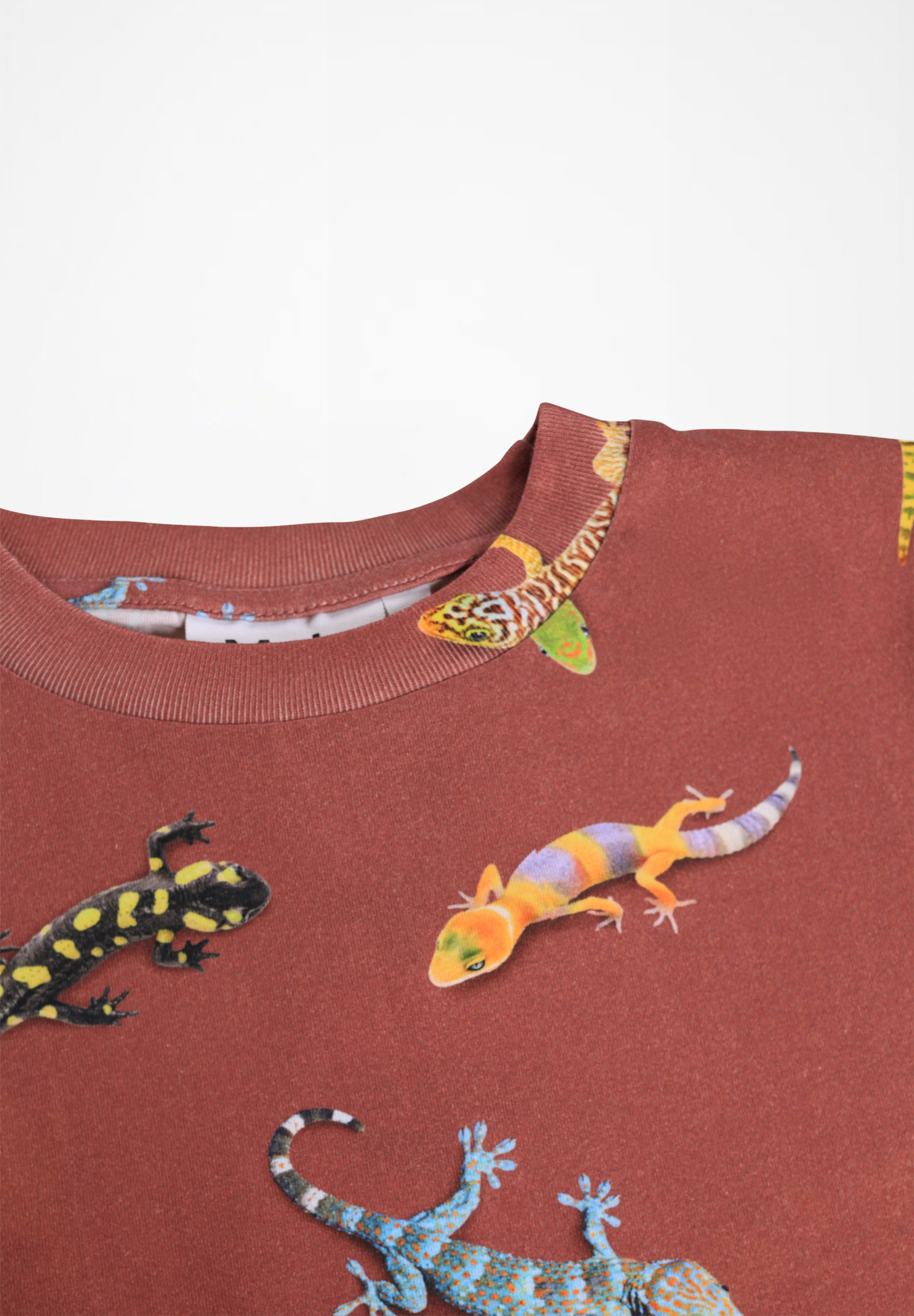 Riley Geckos Sanguine