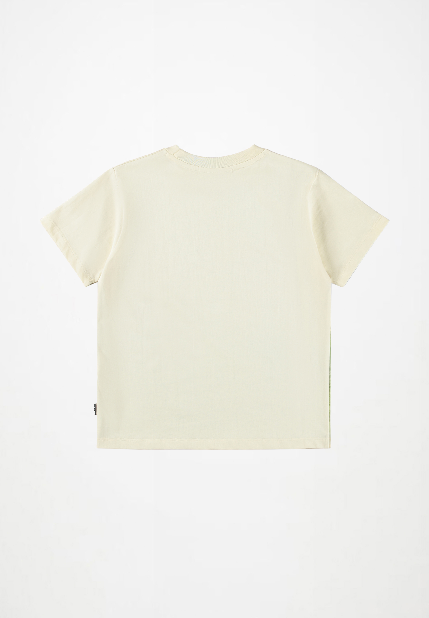 Riley Greenish Surfer