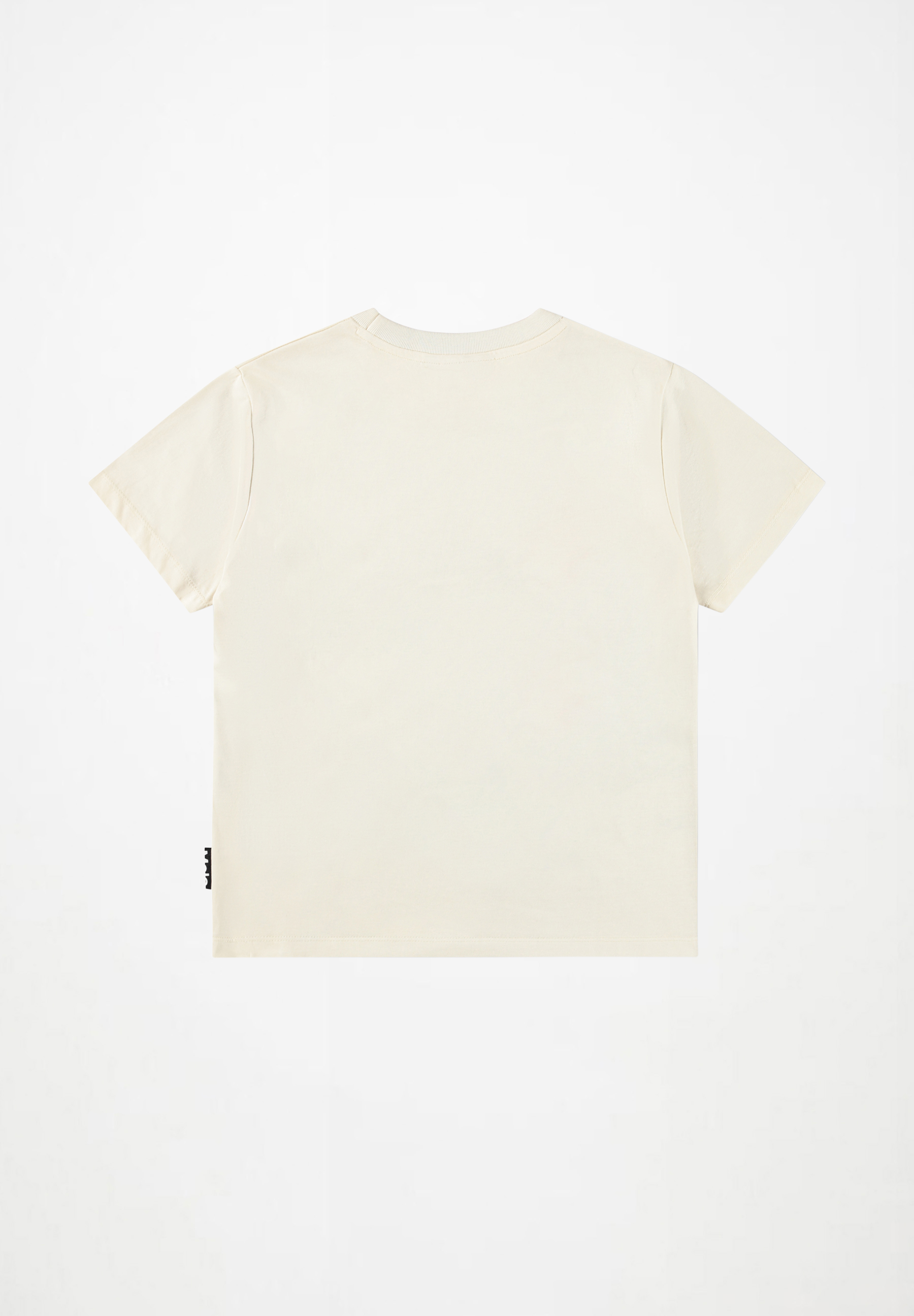 Riley Hot Spring Dinos