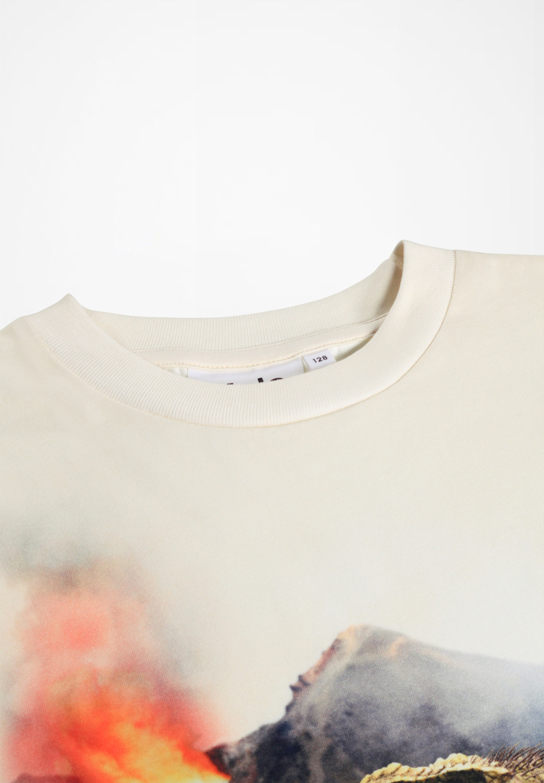 Riley Hot Spring Dinos