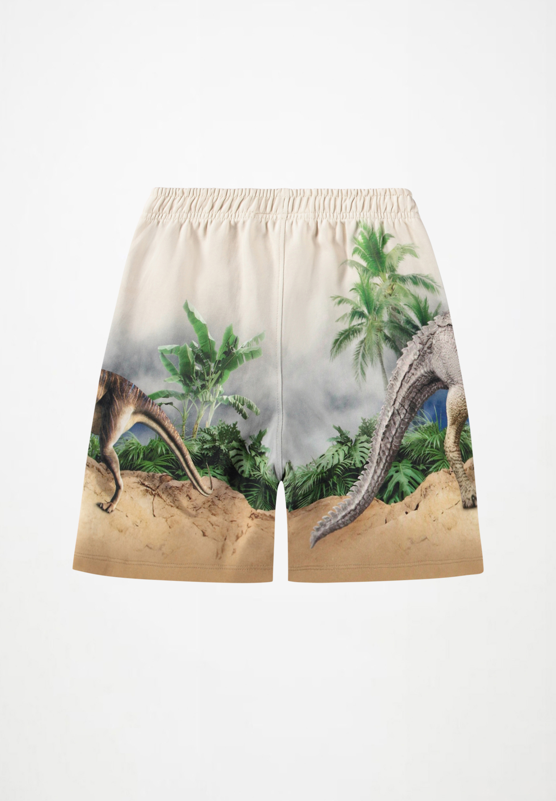 Amil Hot Spring Dinos