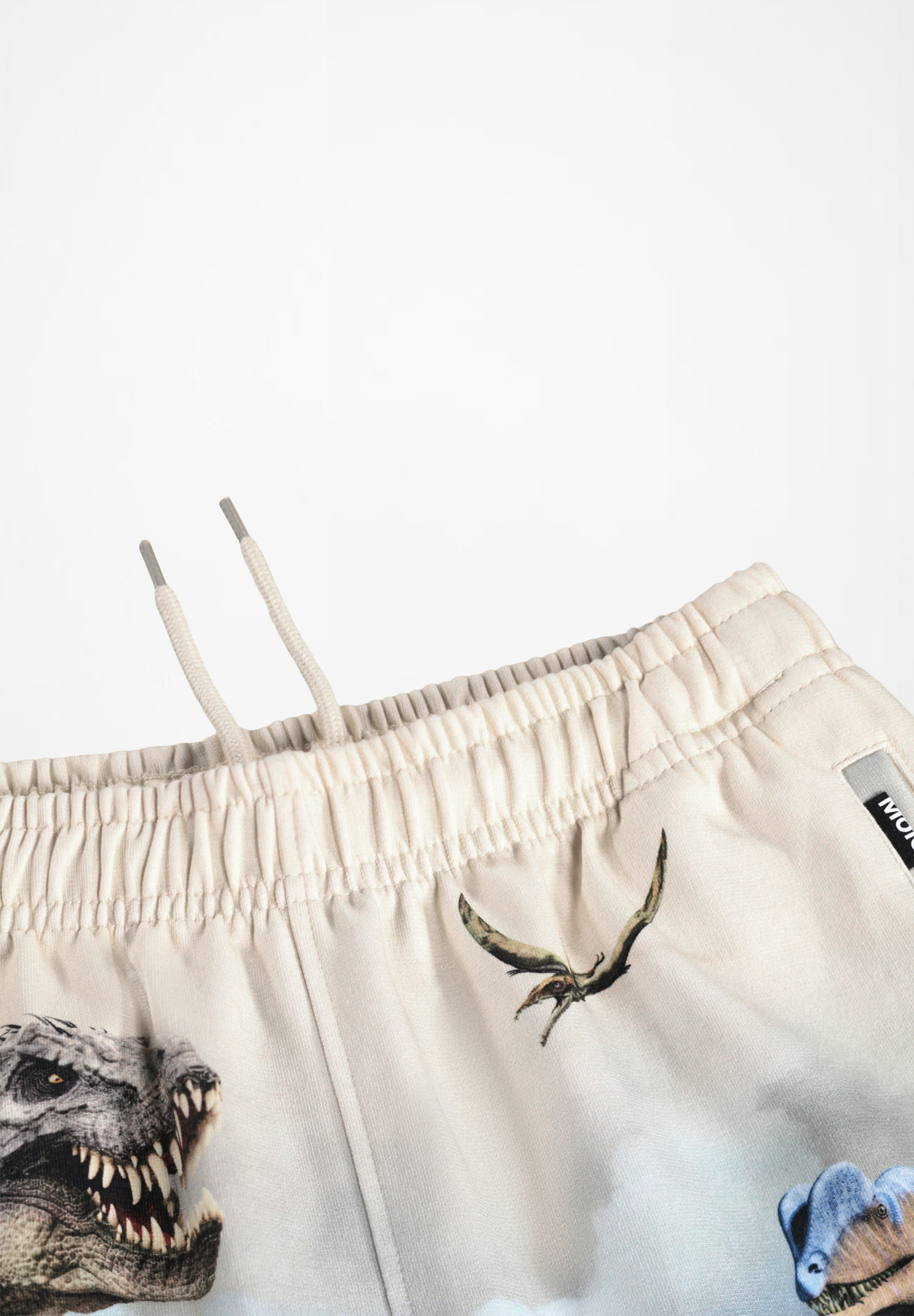 Amil Hot Spring Dinos