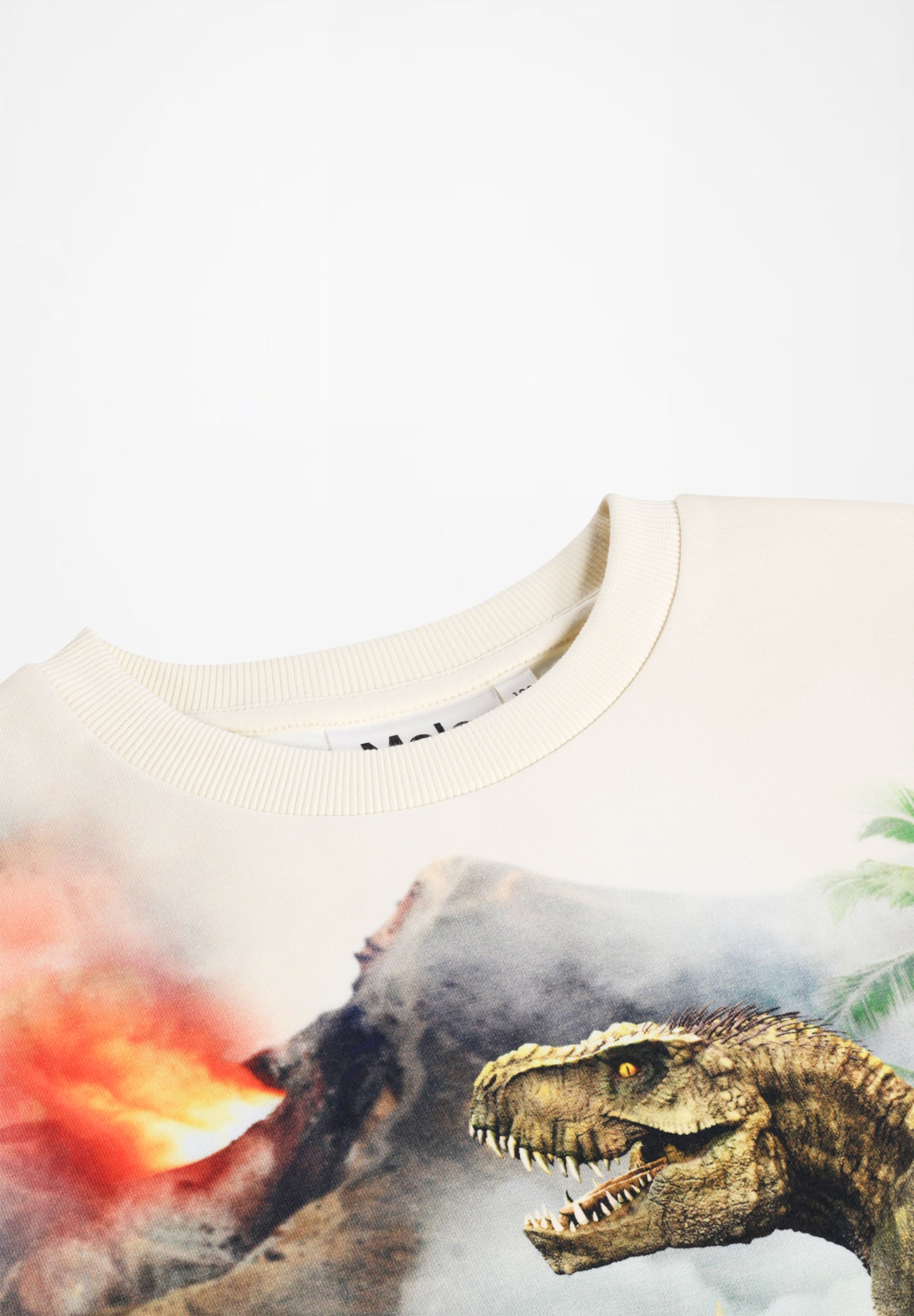 Miksi Hot Spring Dinos