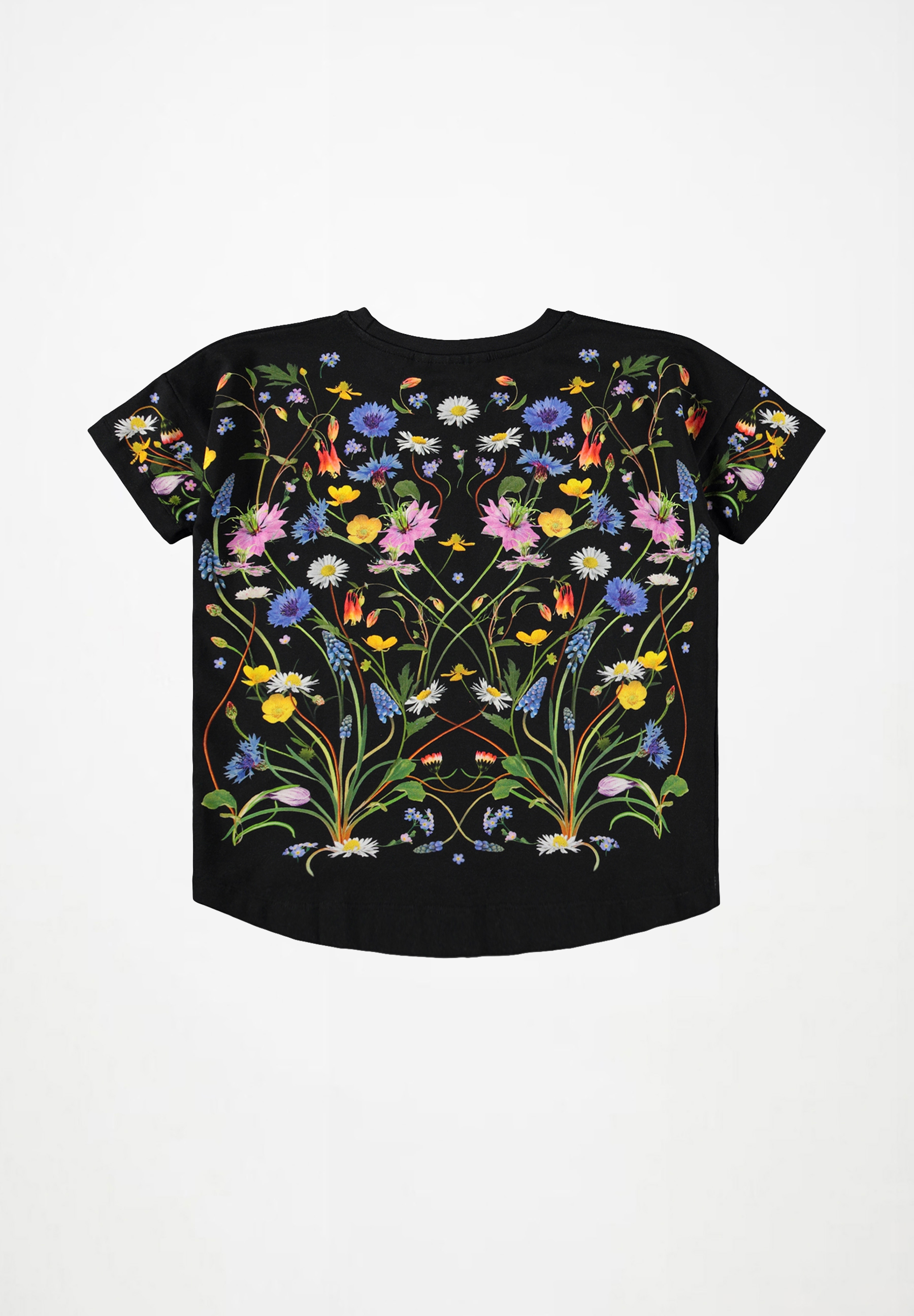 Raeesa Nouveau Butterfly