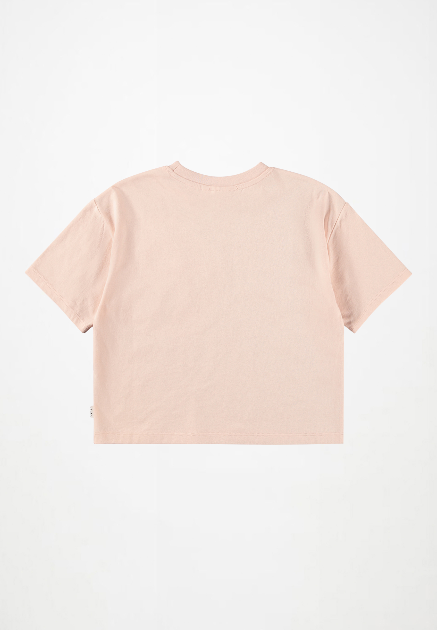 Reinette Basketball Shine