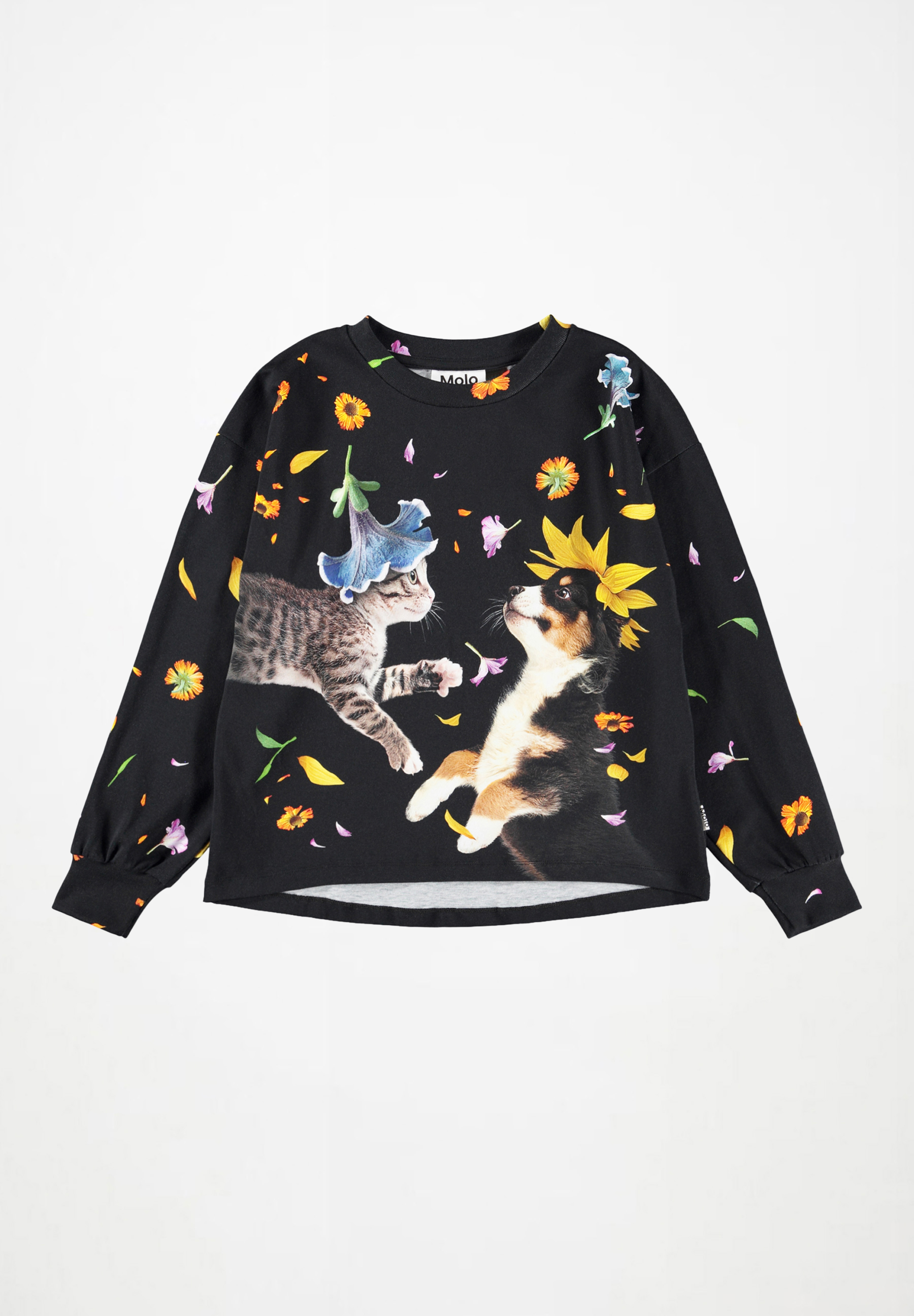 Reniza Lets Celebrate