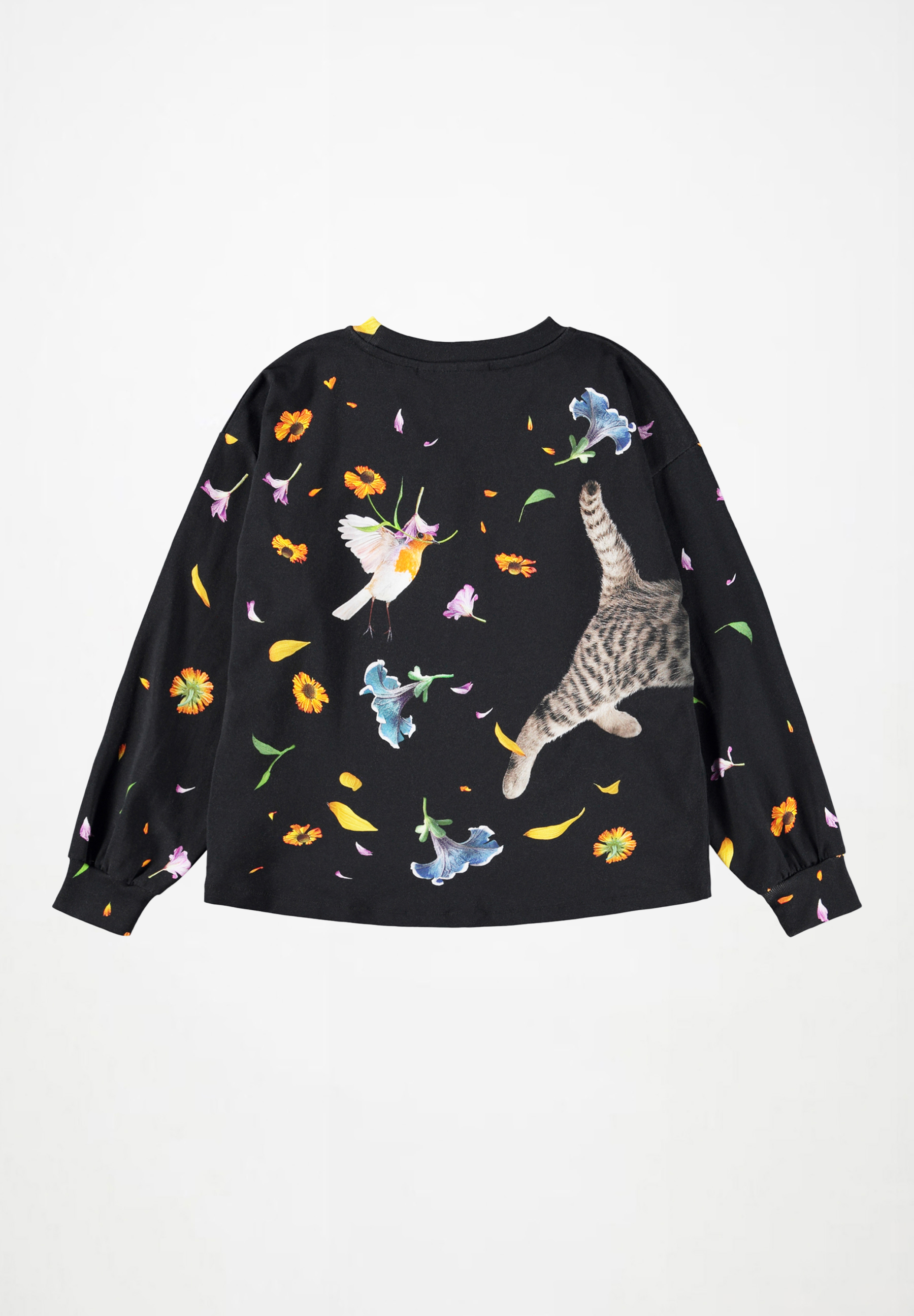 Reniza Lets Celebrate