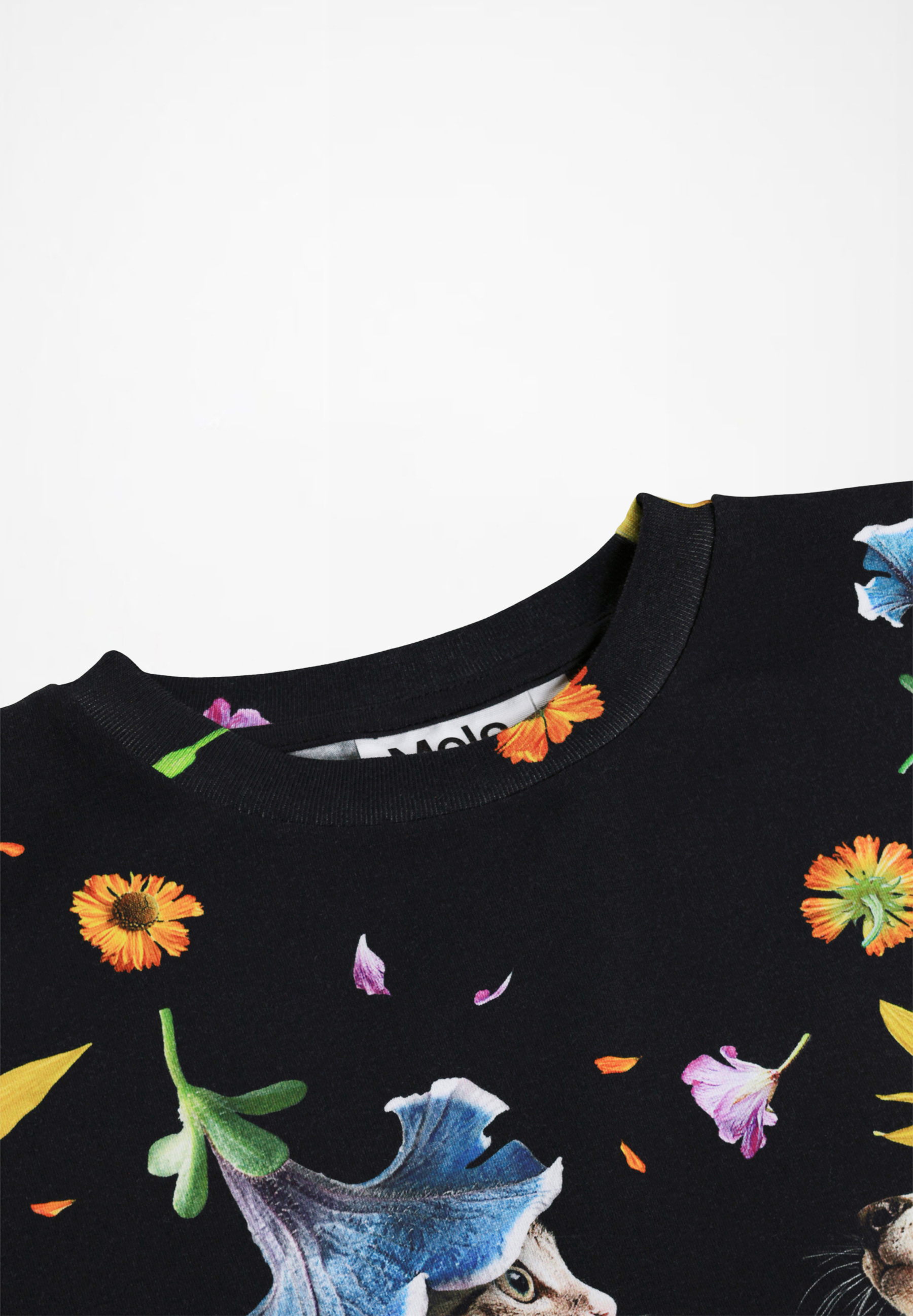 Reniza Lets Celebrate