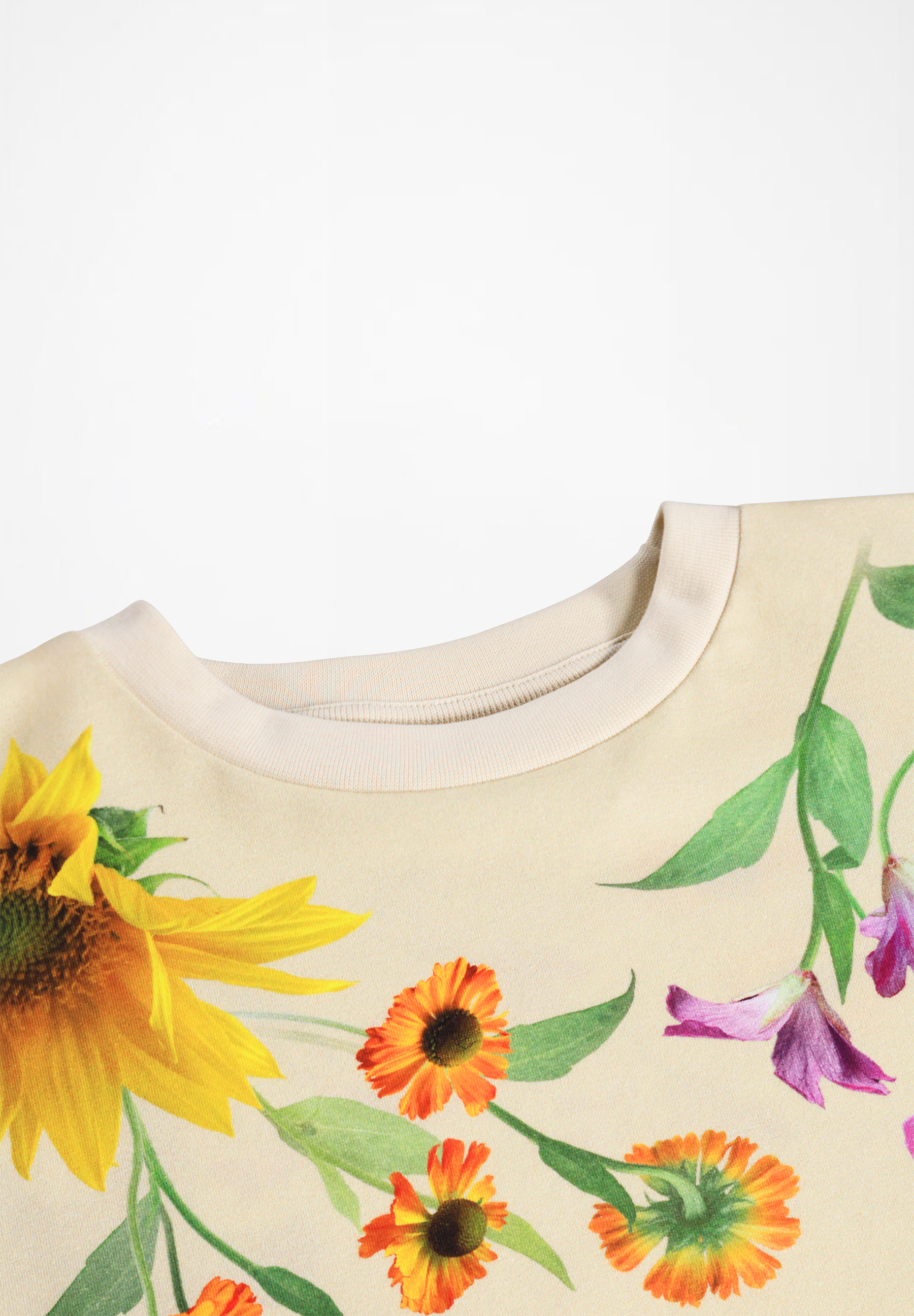 Reniza Rainbow Flora