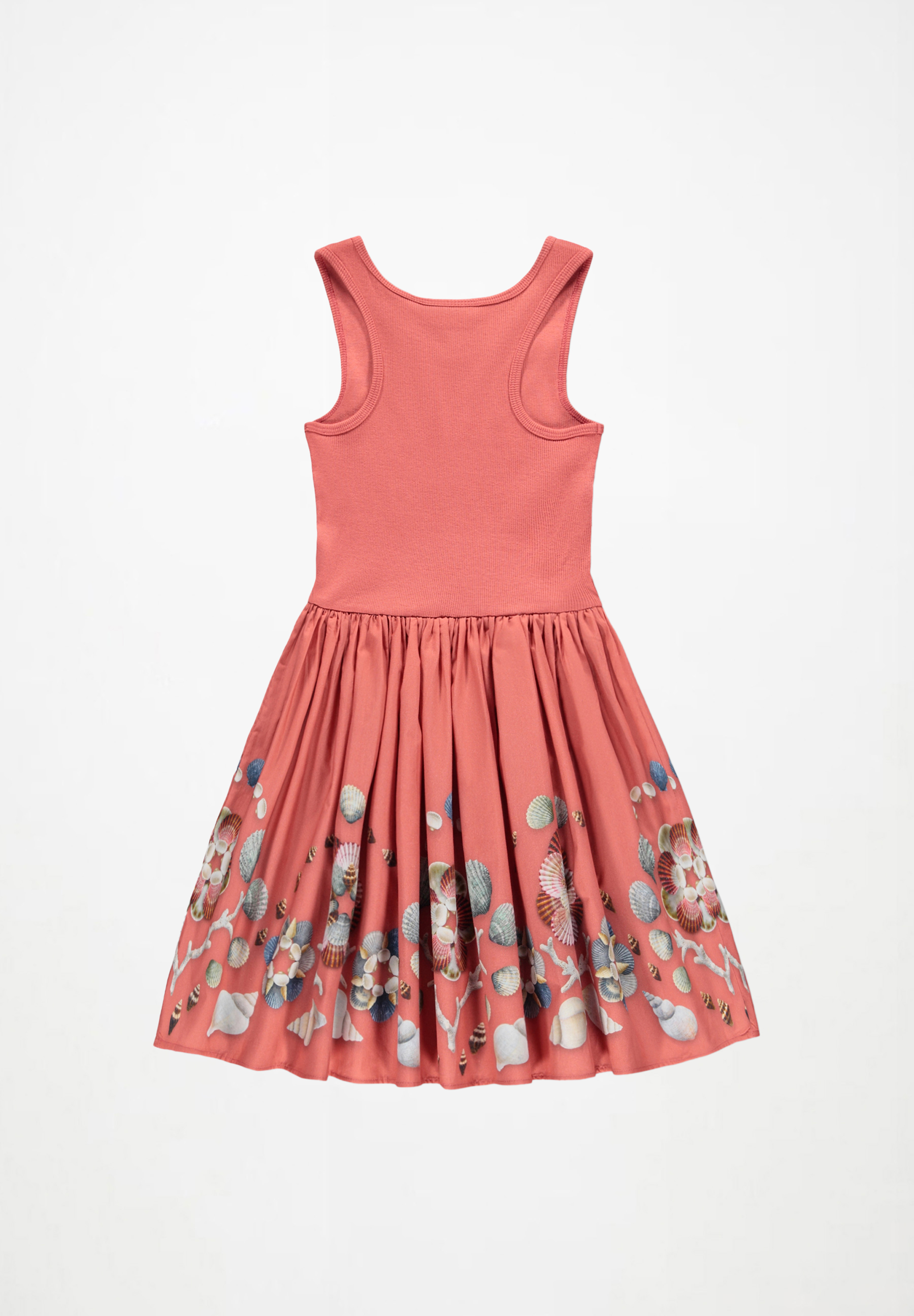 Cassandra Decoration Shells