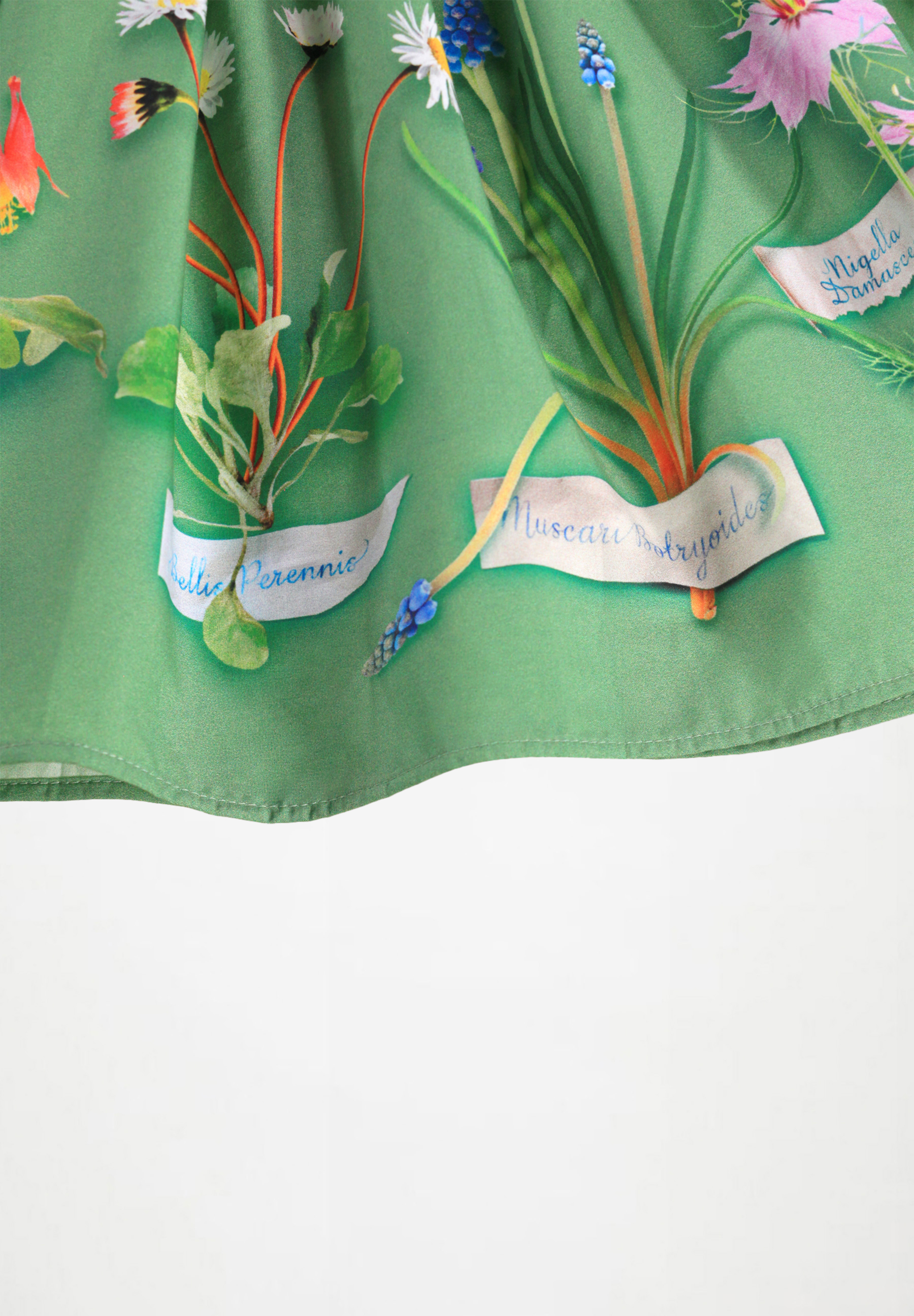 Cissa Flora Collector