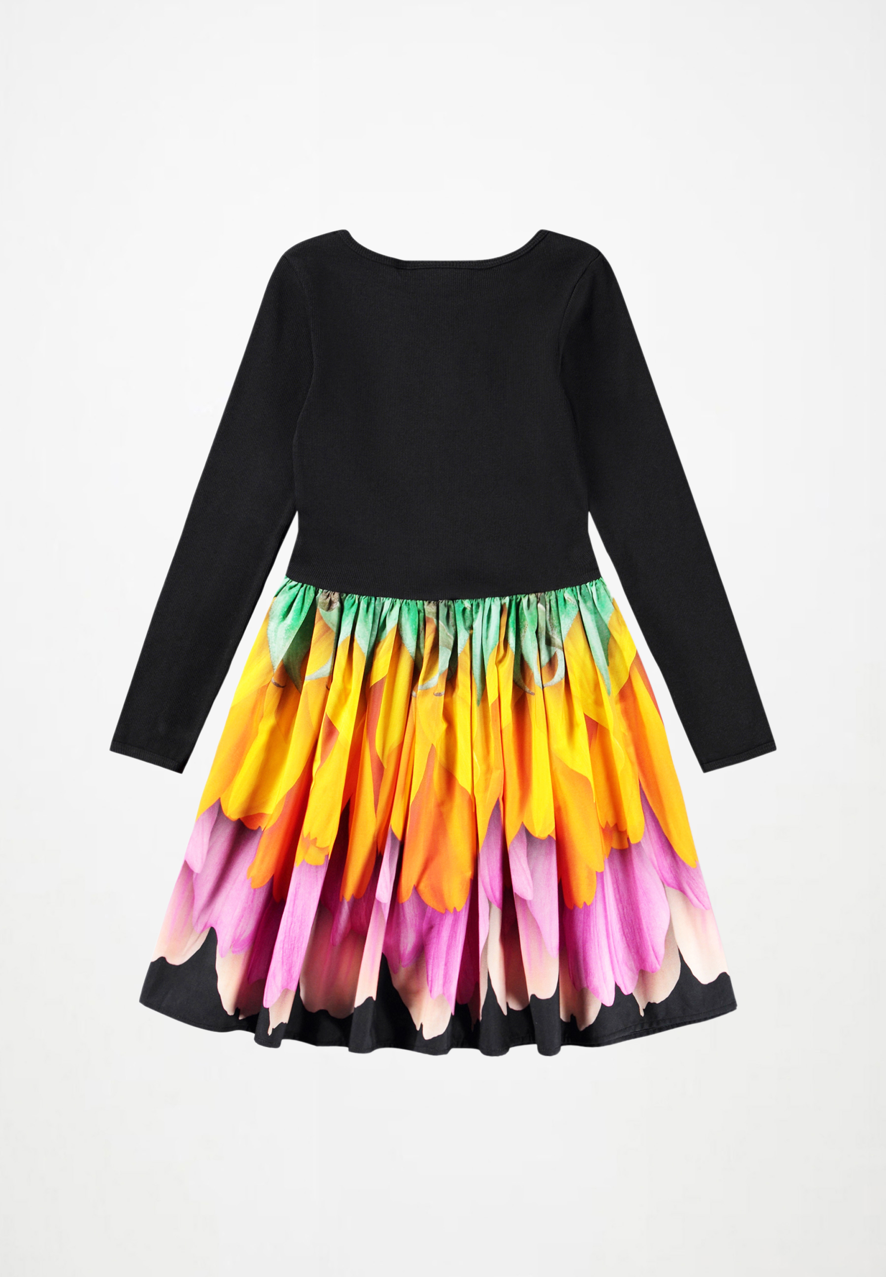 Casie Rainbow Petals