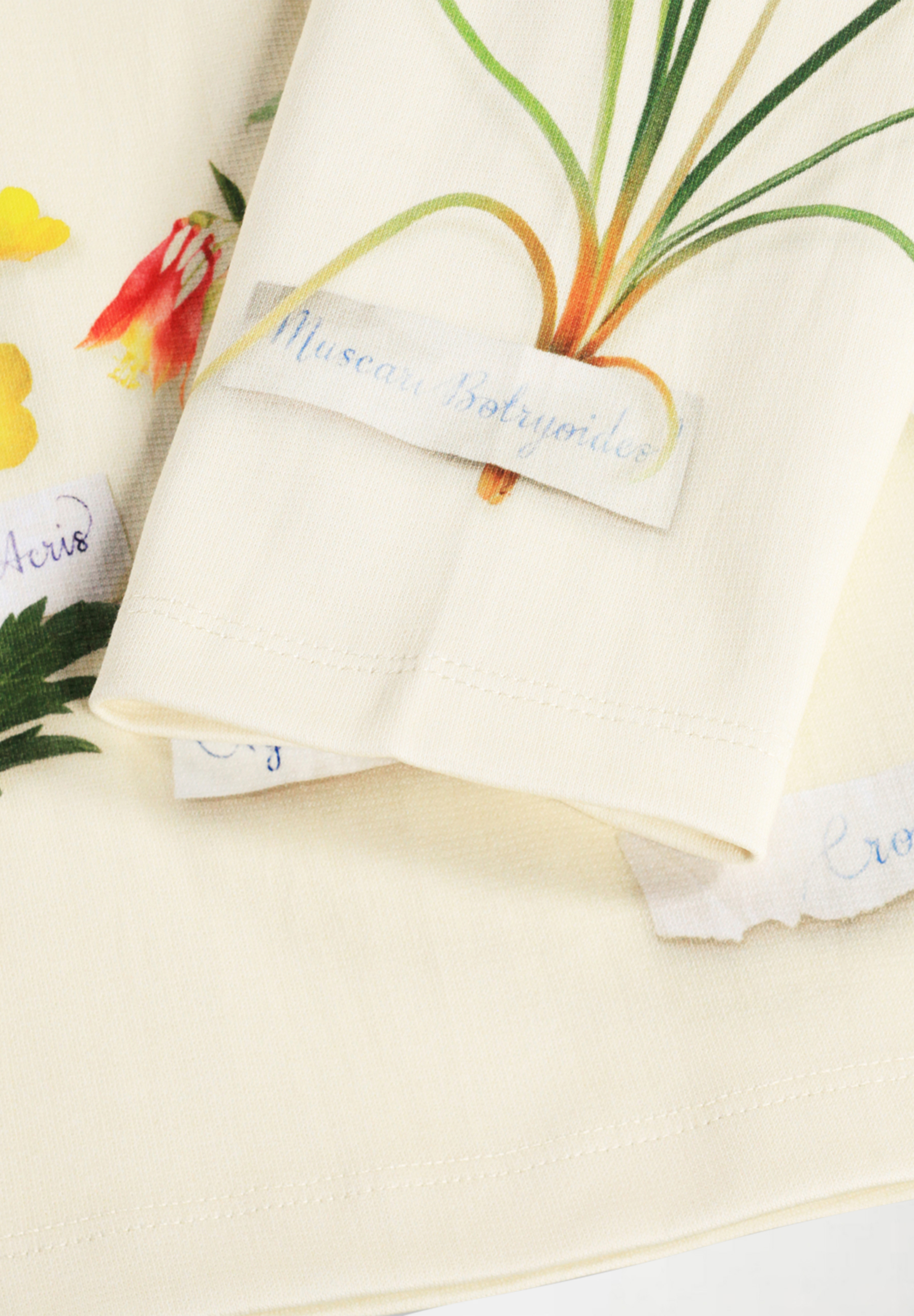 Mountoo Flora Collector