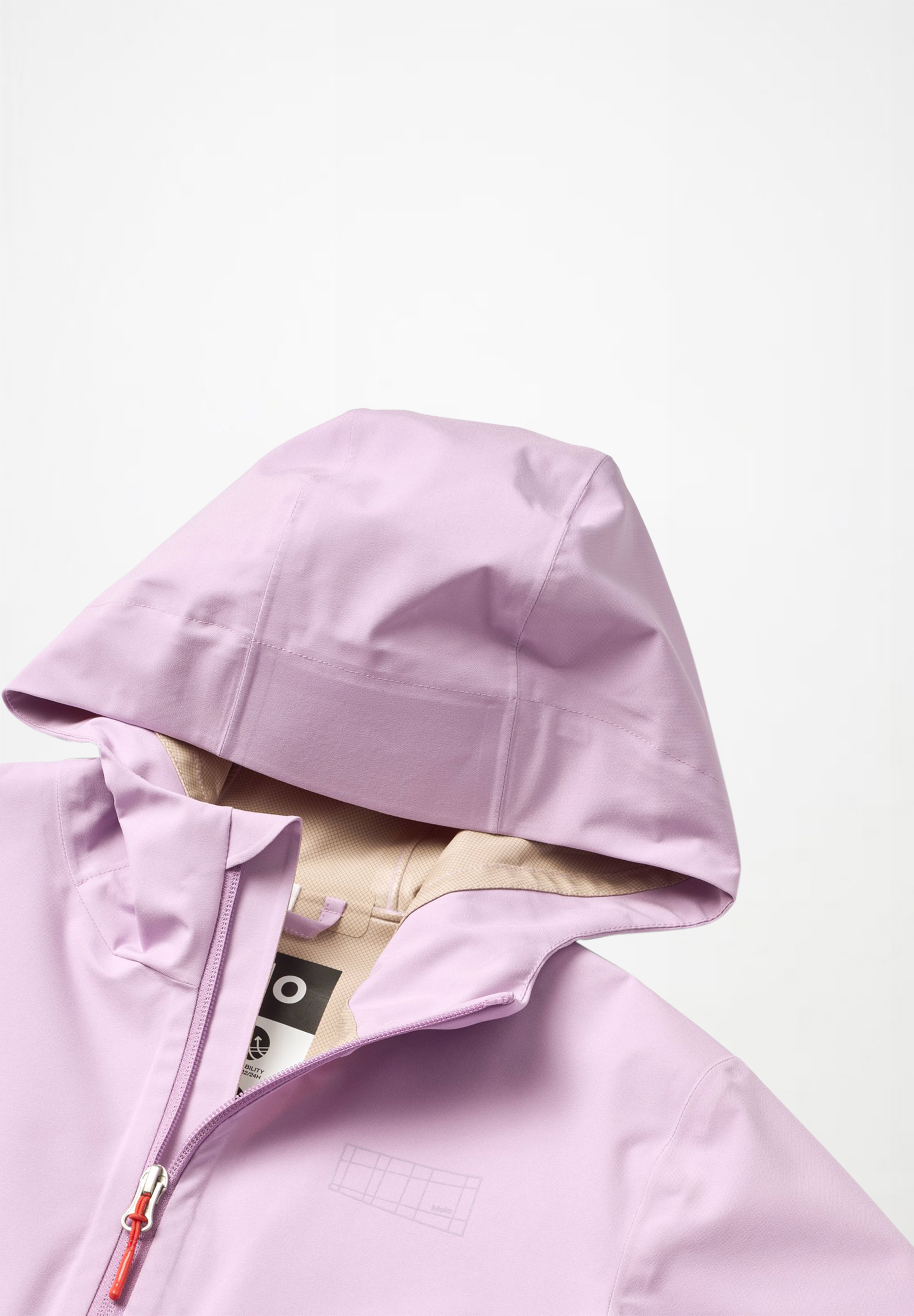 Horizon Crocus Petal