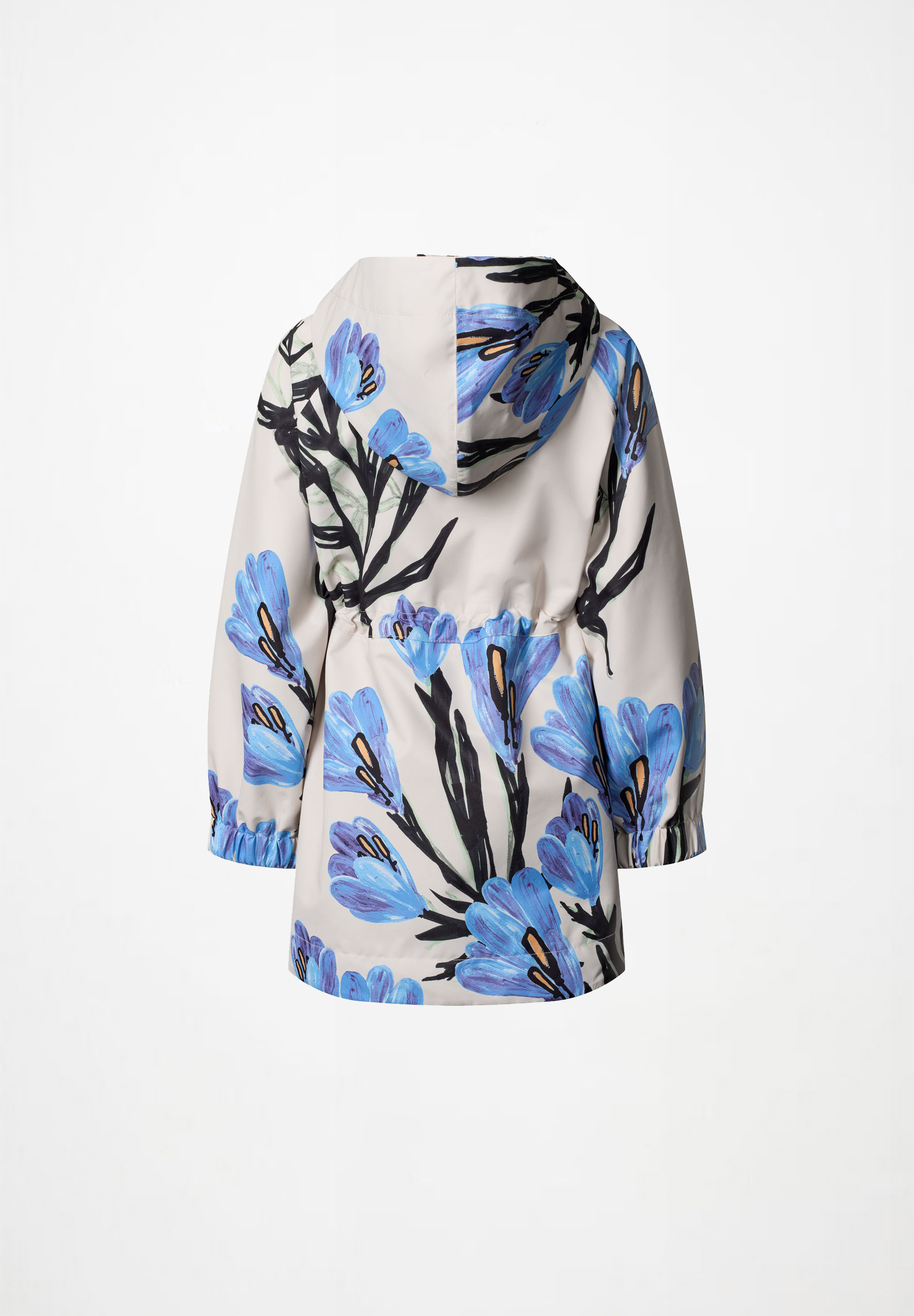 Hennah Painted Crocus