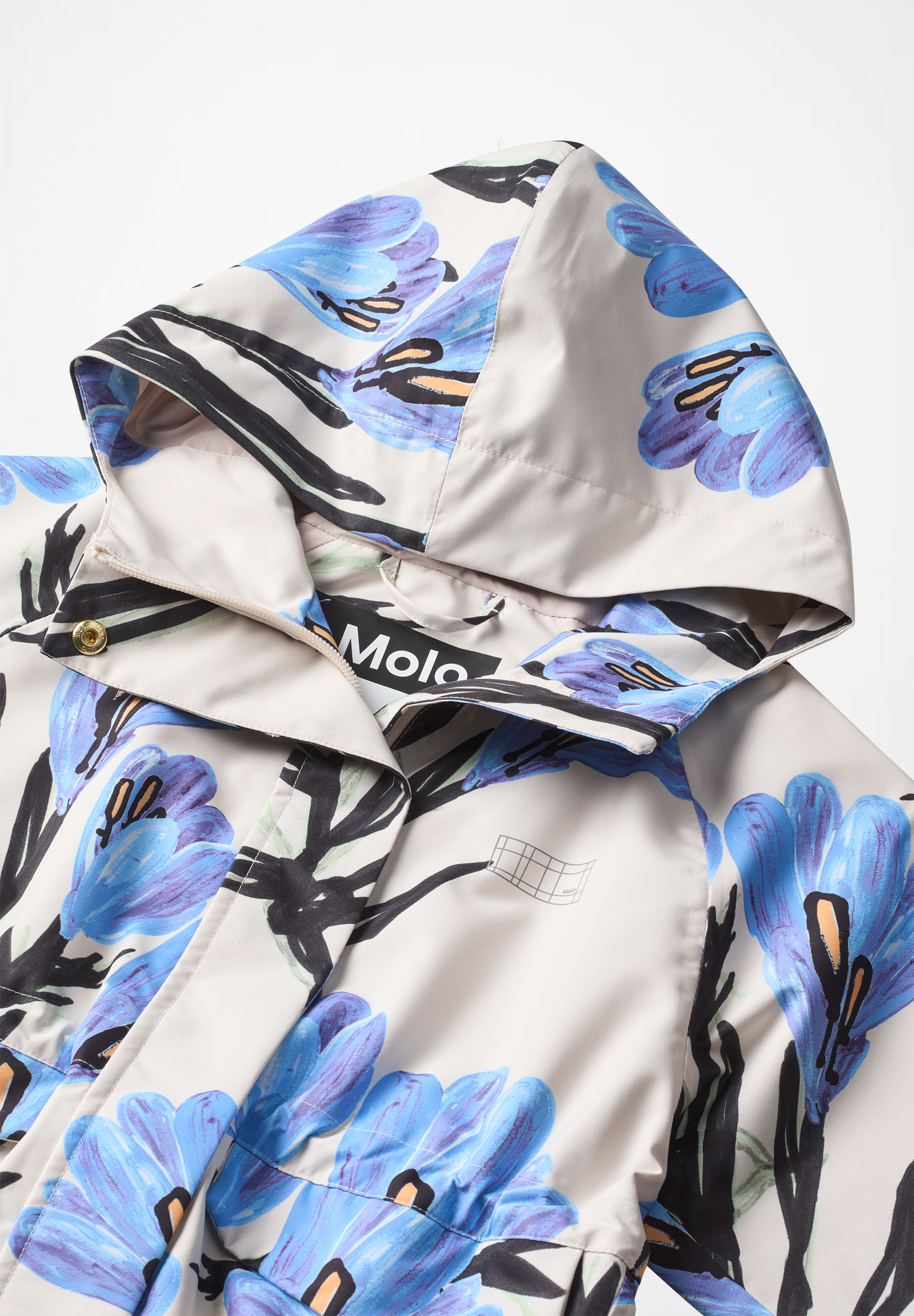 Hennah Painted Crocus